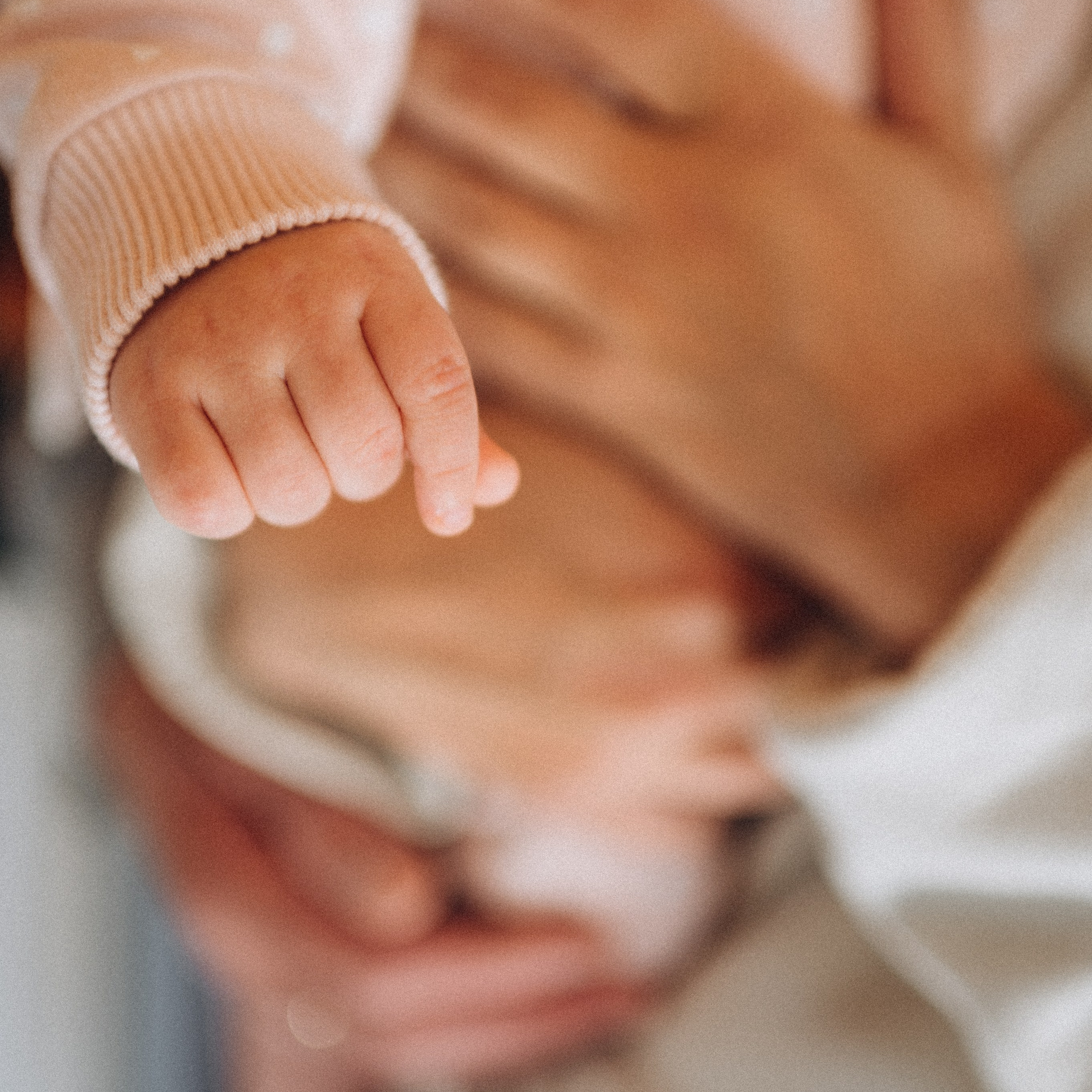 Отзывы. Семейный домашний фотограф Юлия Власова, город Архангельск