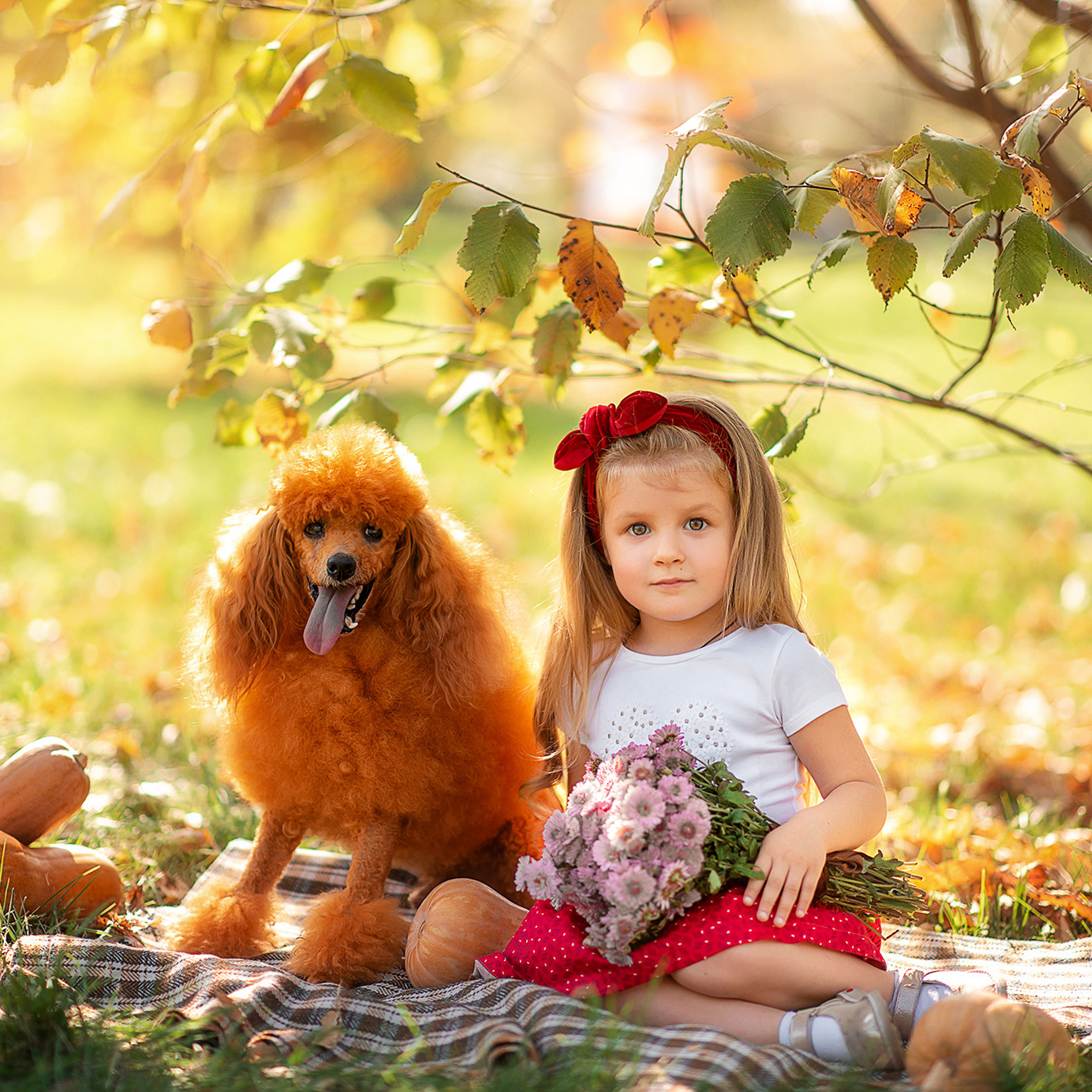 Отзывы. Творческая команда Ульяшевы, свадебная и семейная фотография. Кахахста