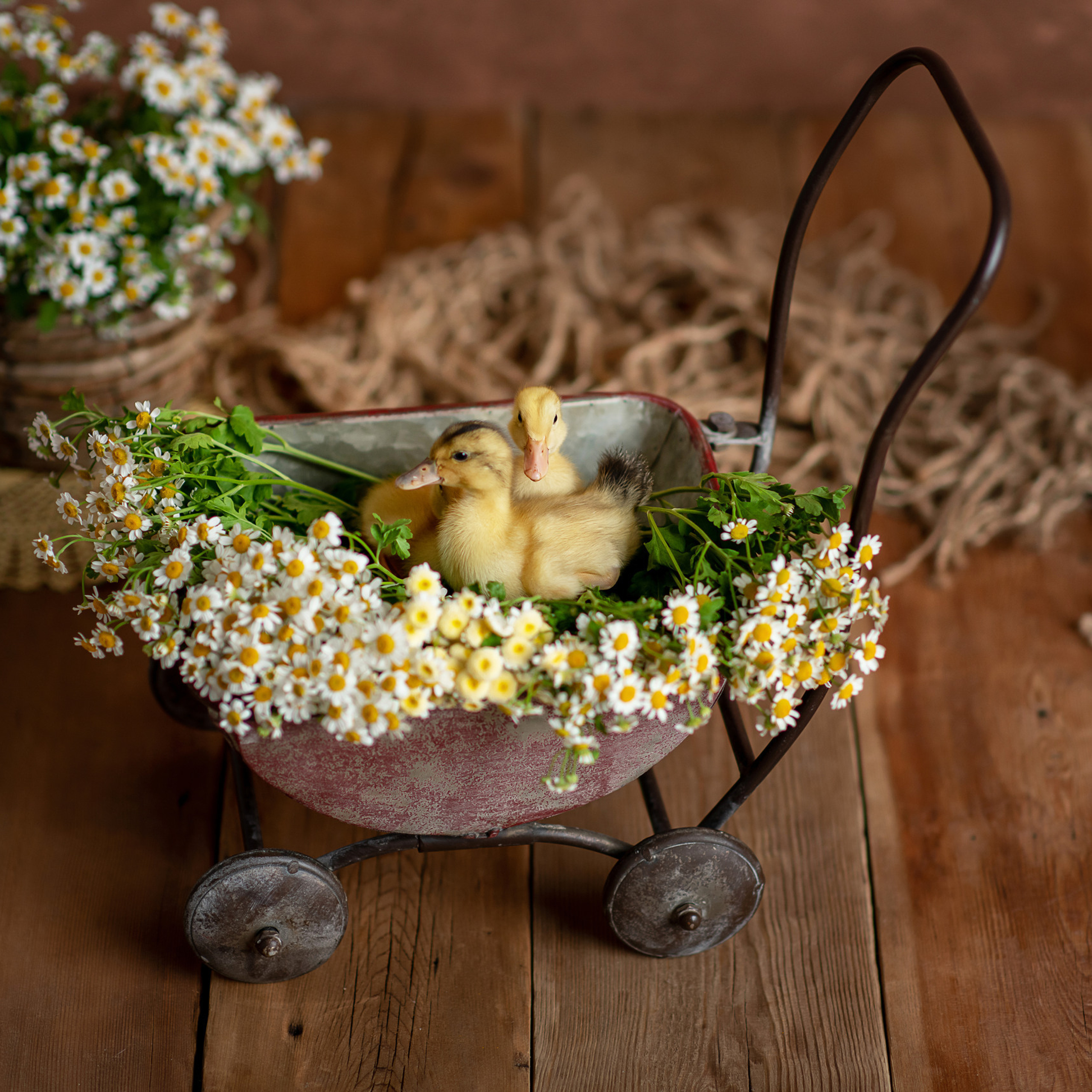 Отзывы. Творческая команда Ульяшевы, свадебная и семейная фотография. Кахахста