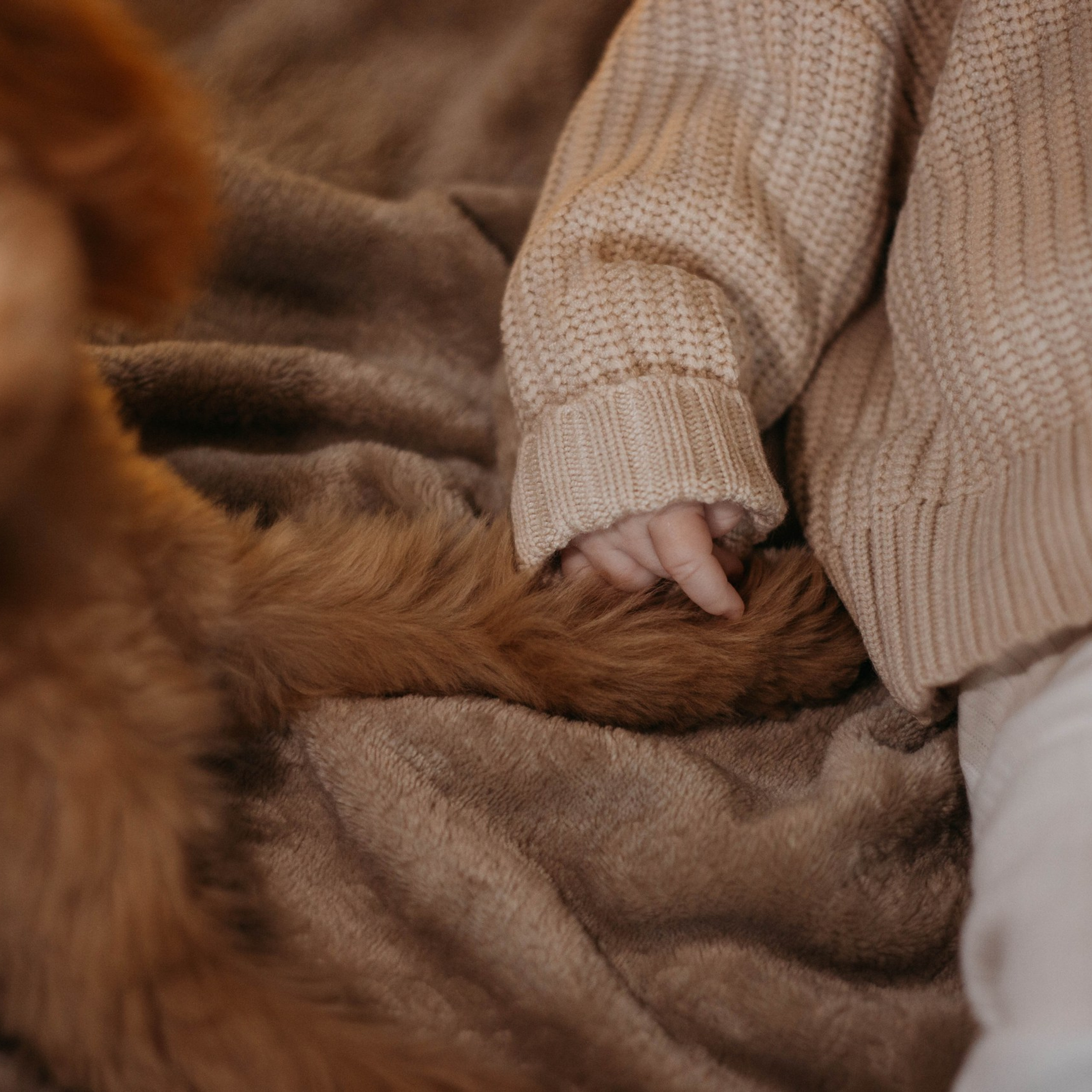 Отзывы. Семейный и детский фотограф в Москве Зарудняя Дария