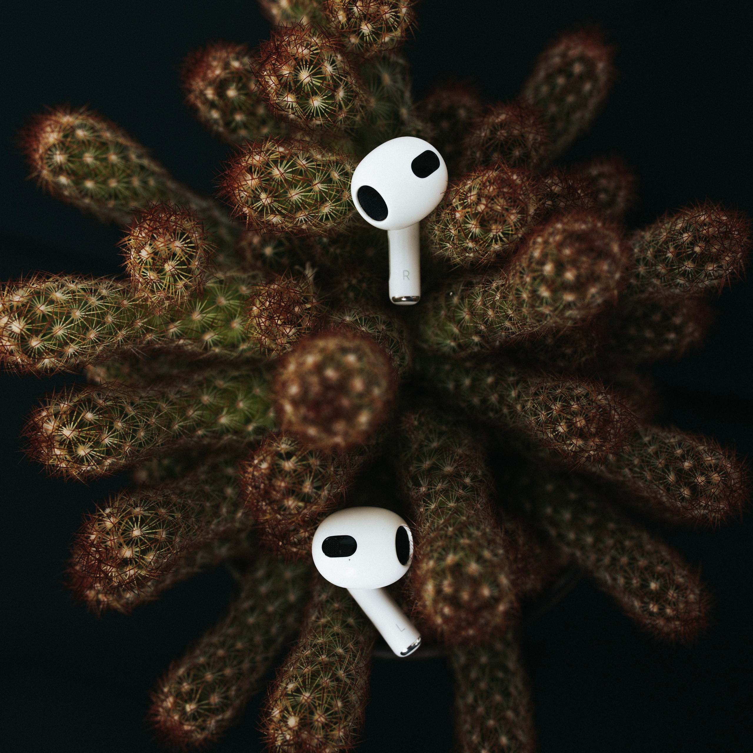 MyPhone Магазин техники