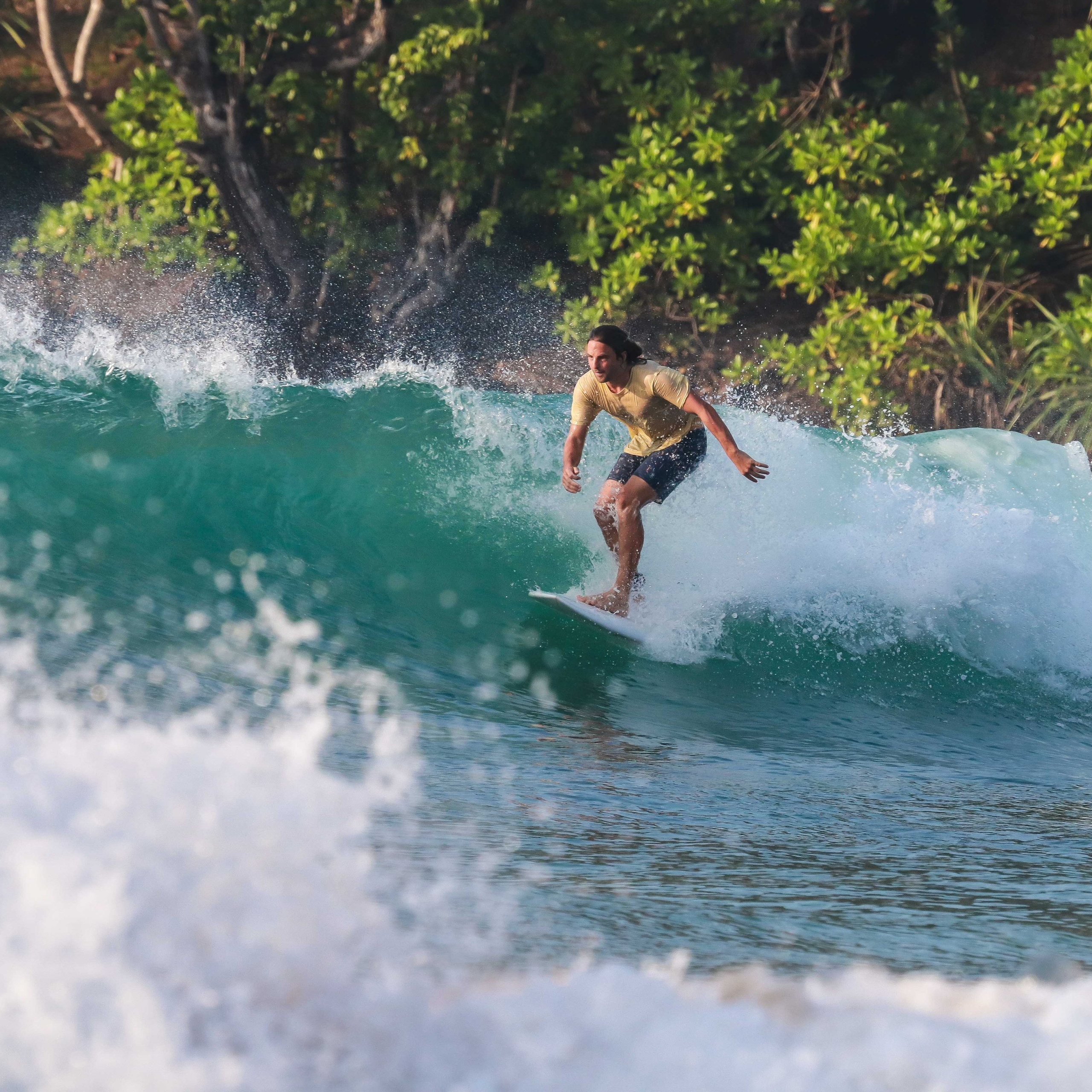 Рассвет мирисса