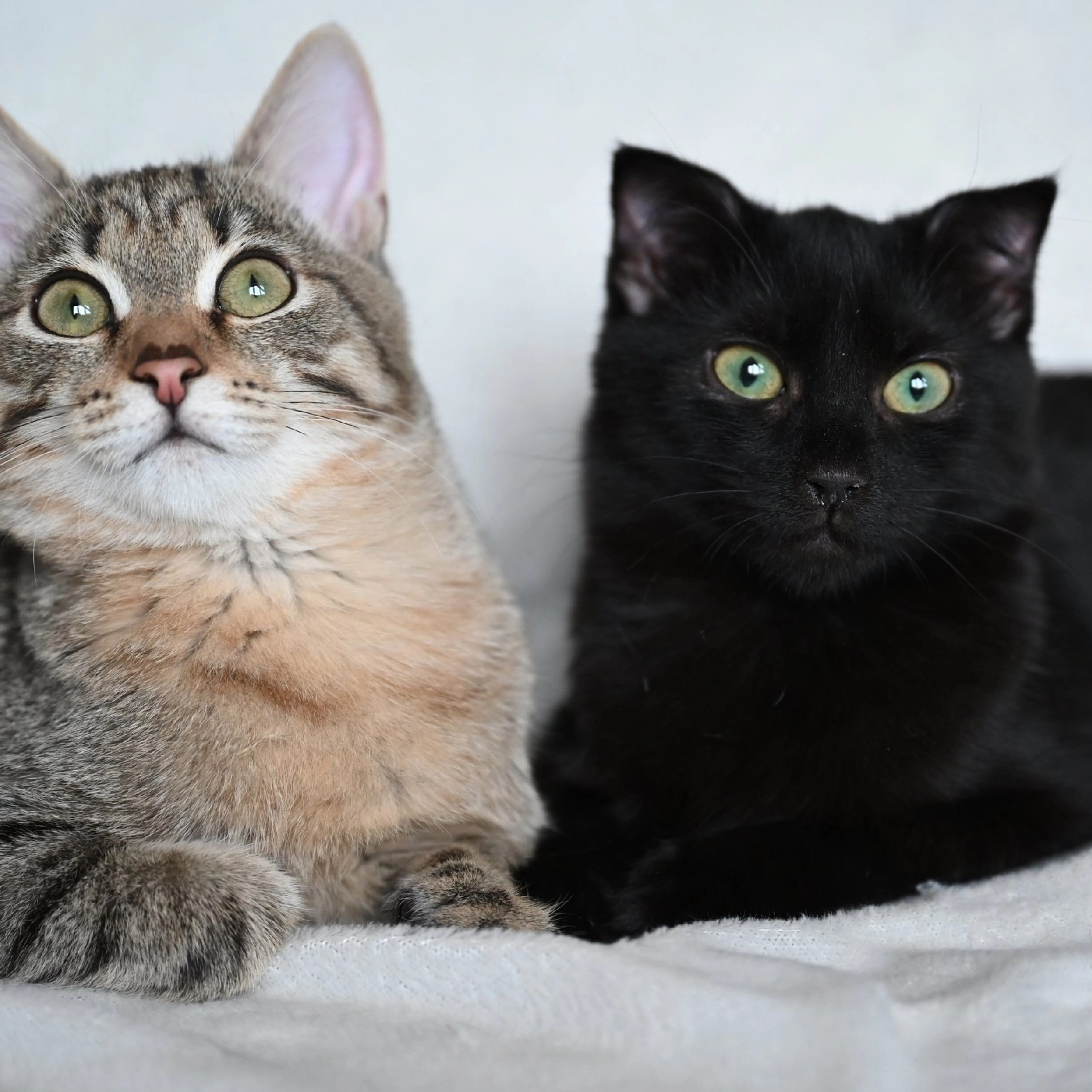 Отзывы. Фотограф Татьяна Тезина