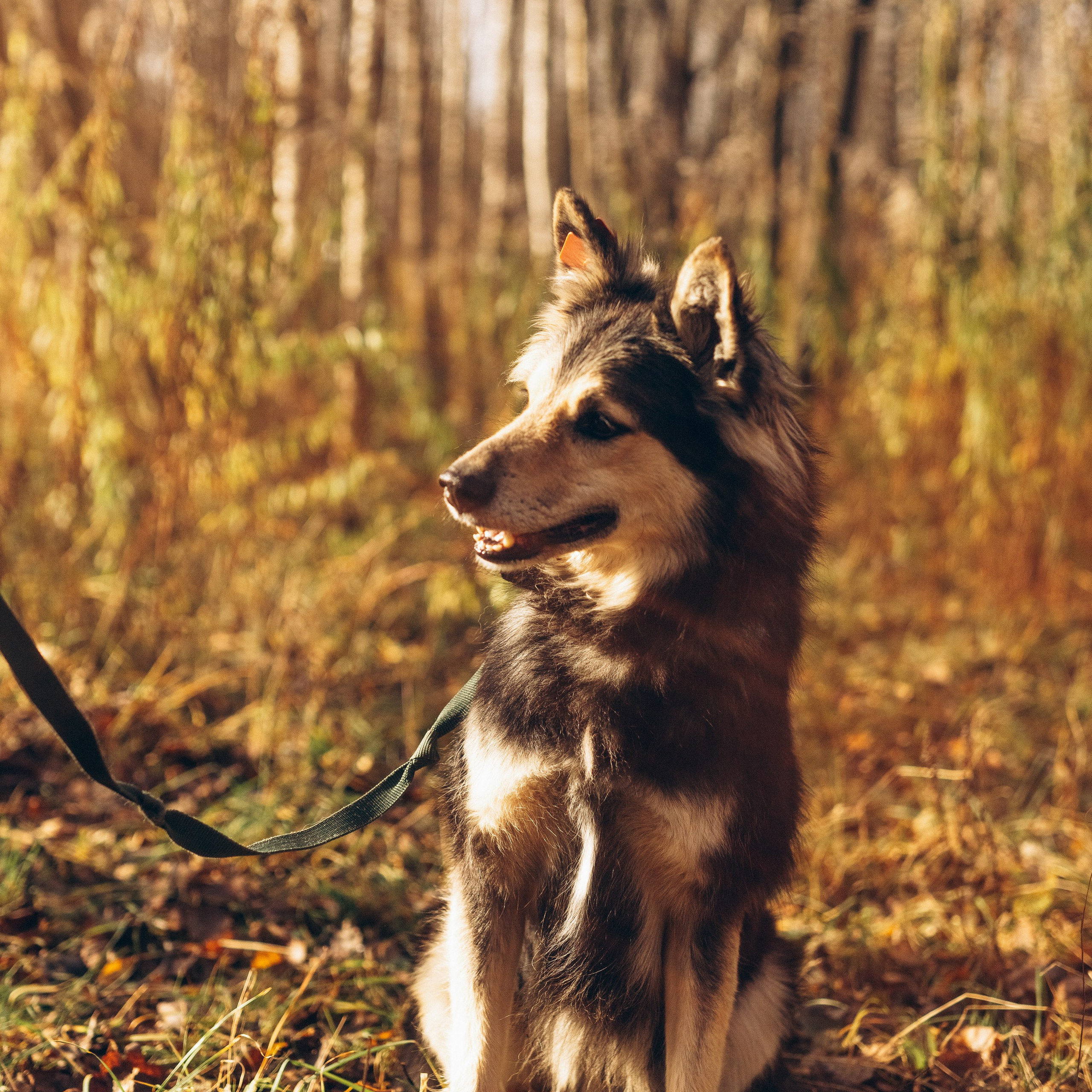 Отзывы. Фотограф Ногинск Электросталь Наталья Осетрова