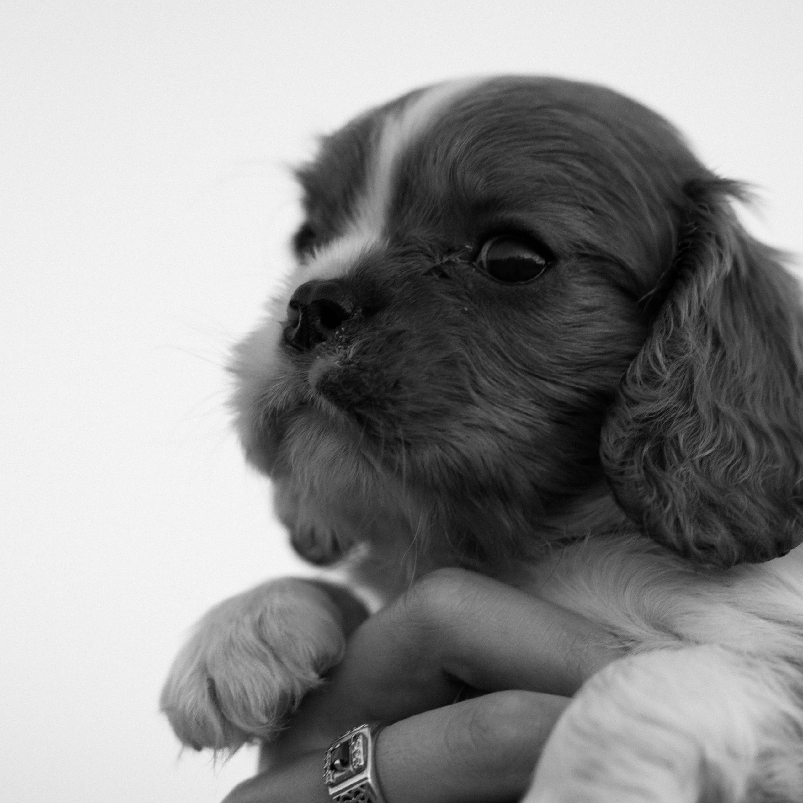 Катюша и Максим