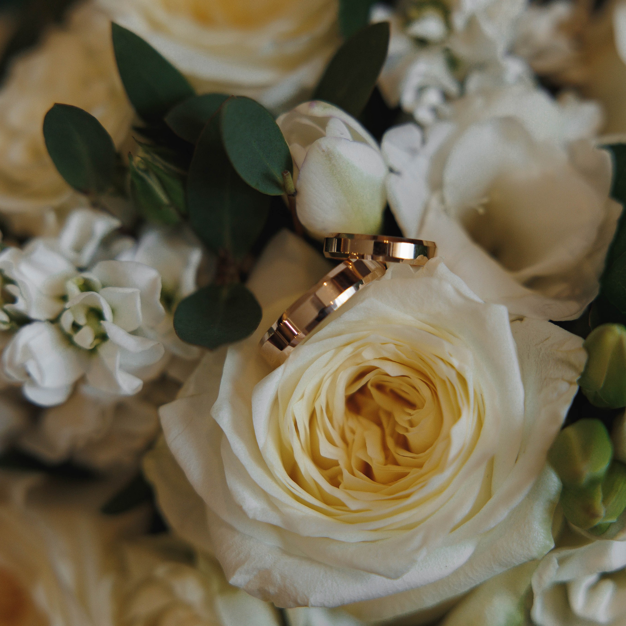 Дима и&nbsp;Оля