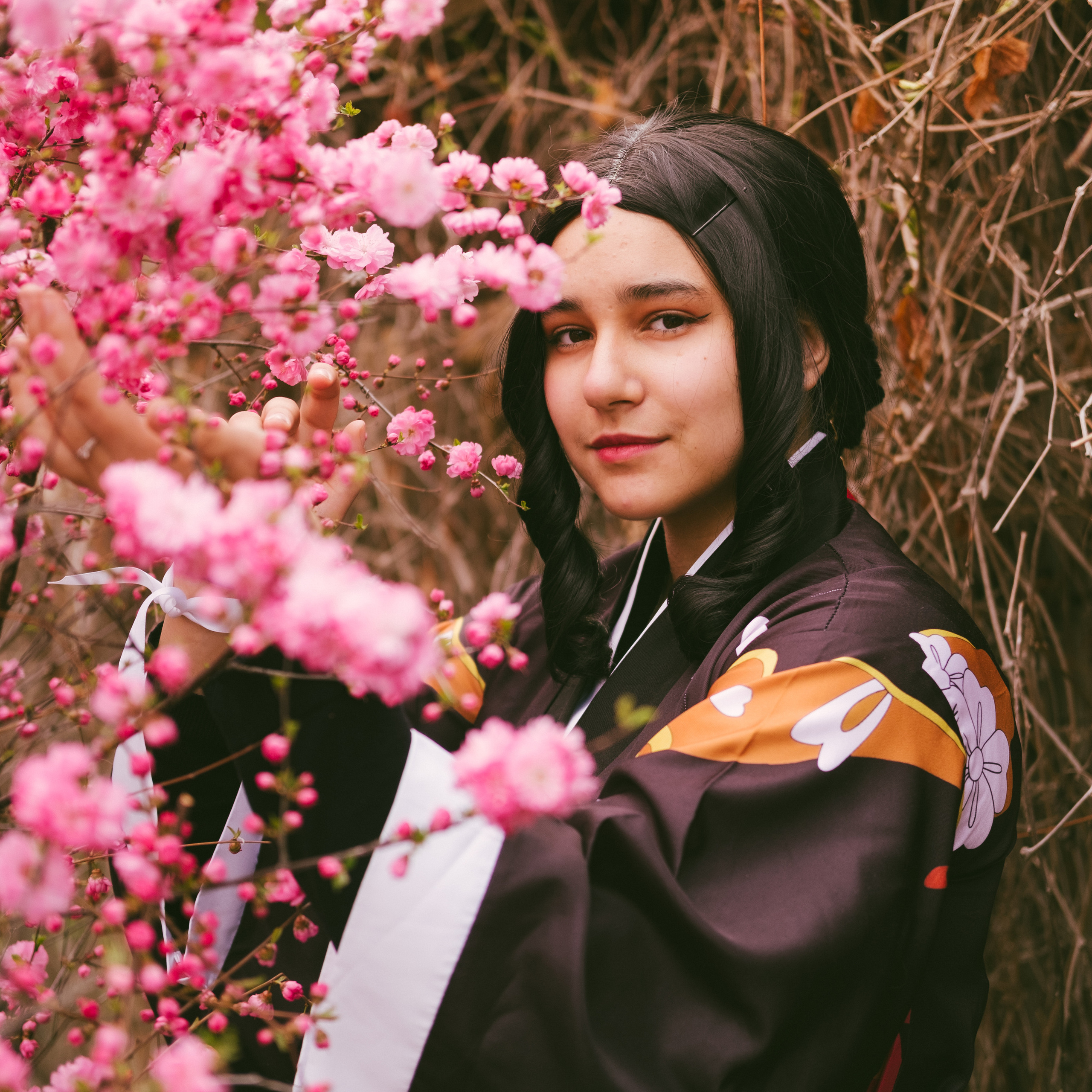 Праздник цветения сакуры