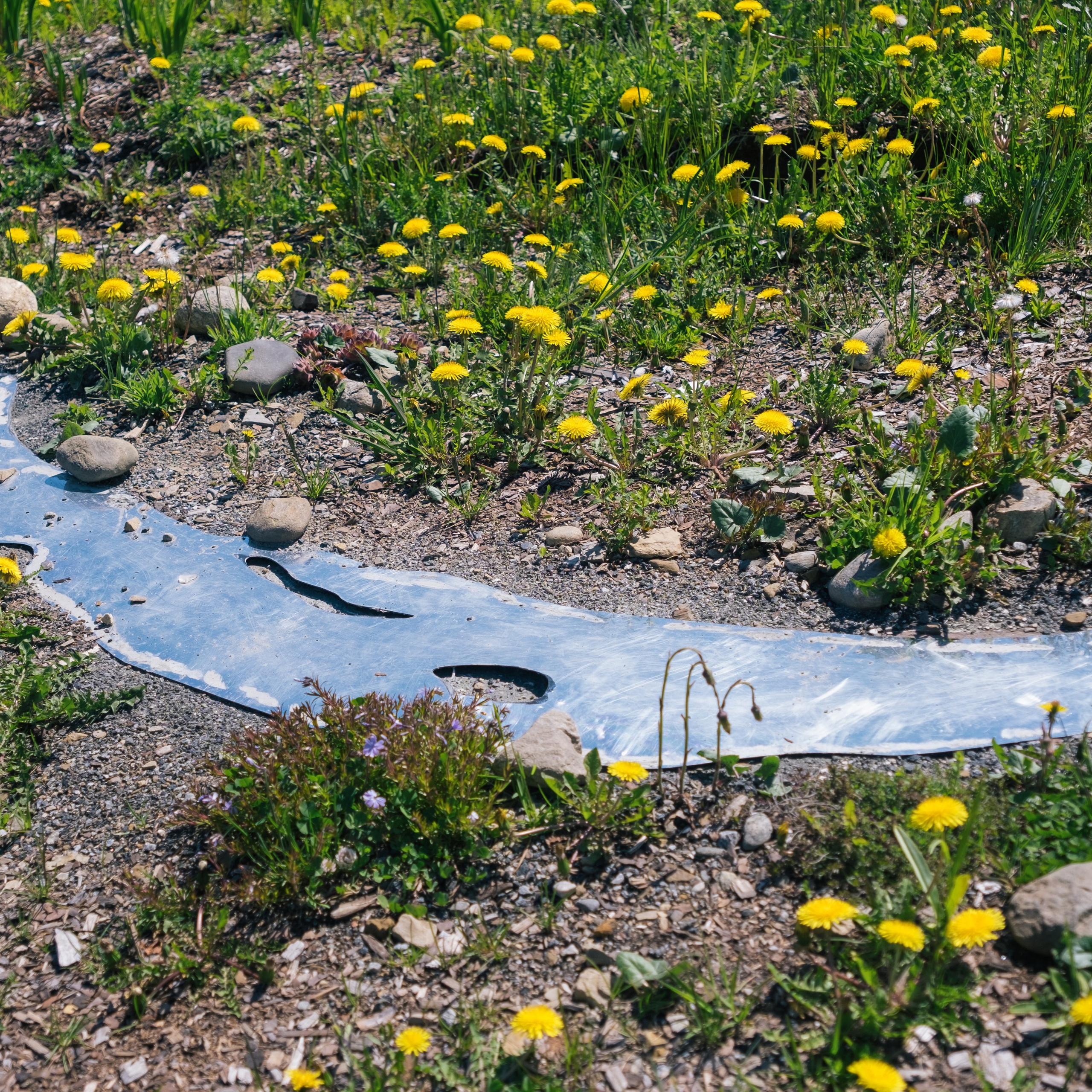 Экологический форум