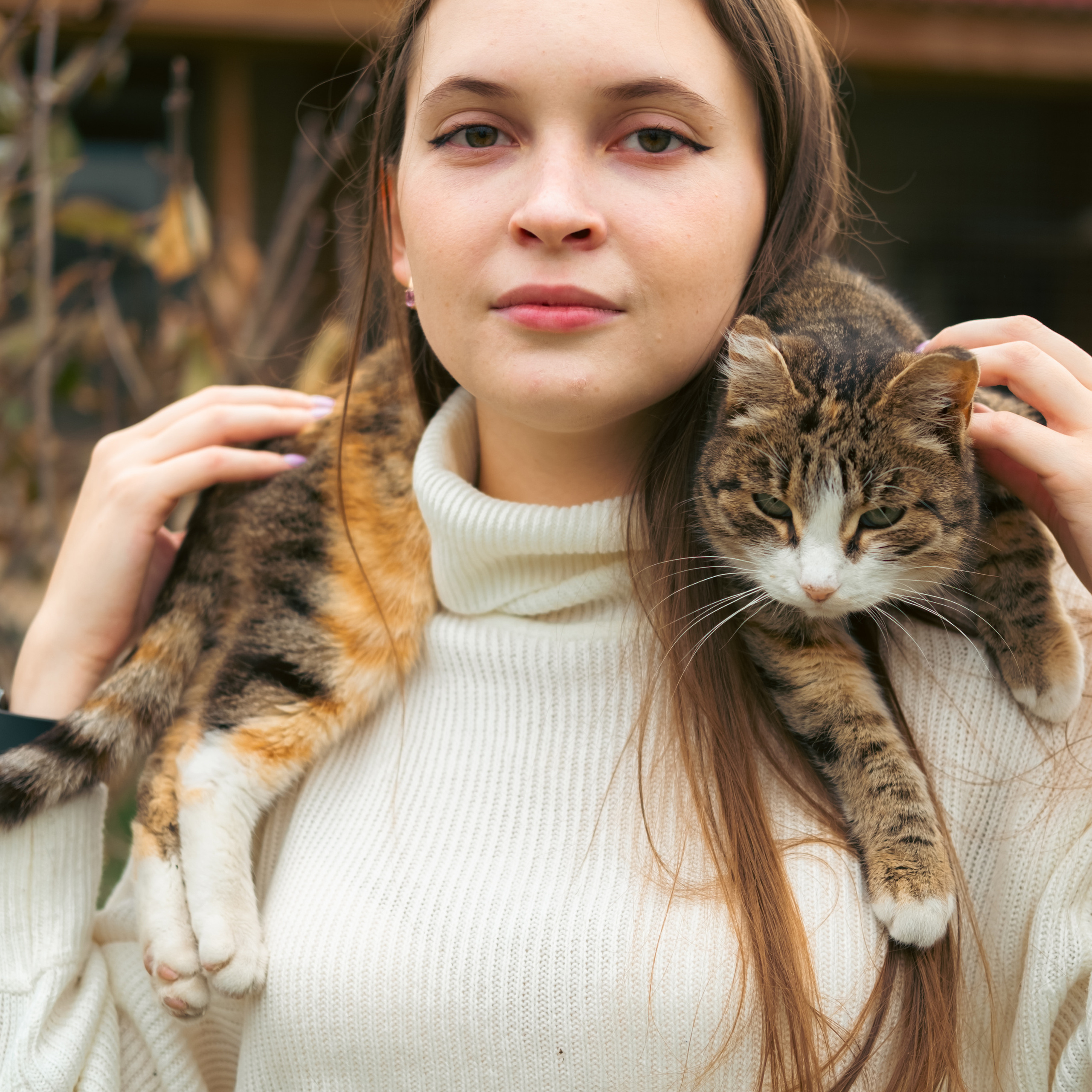 Девочки и котики