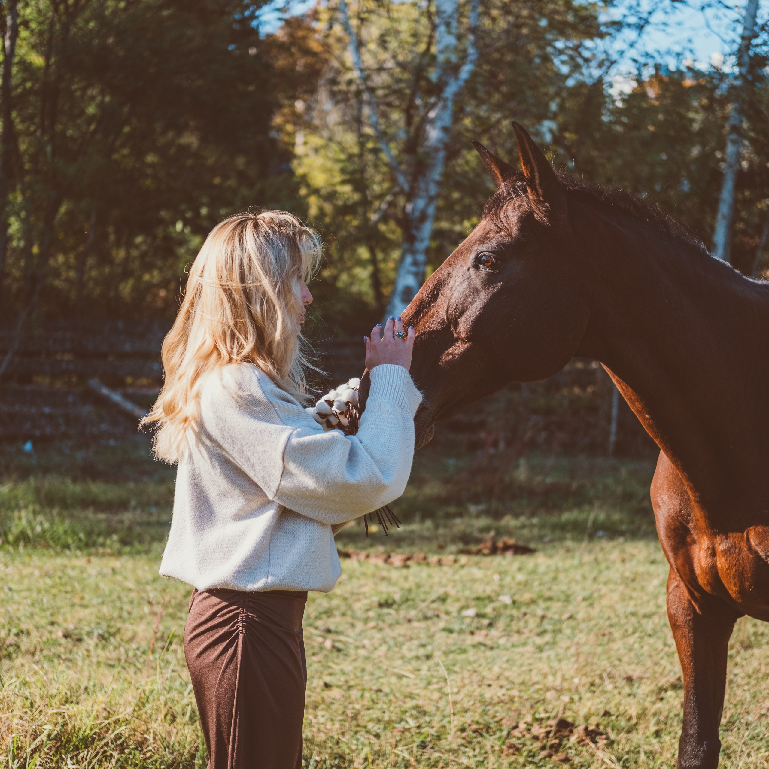 Съёмка с лошадьми, в поле