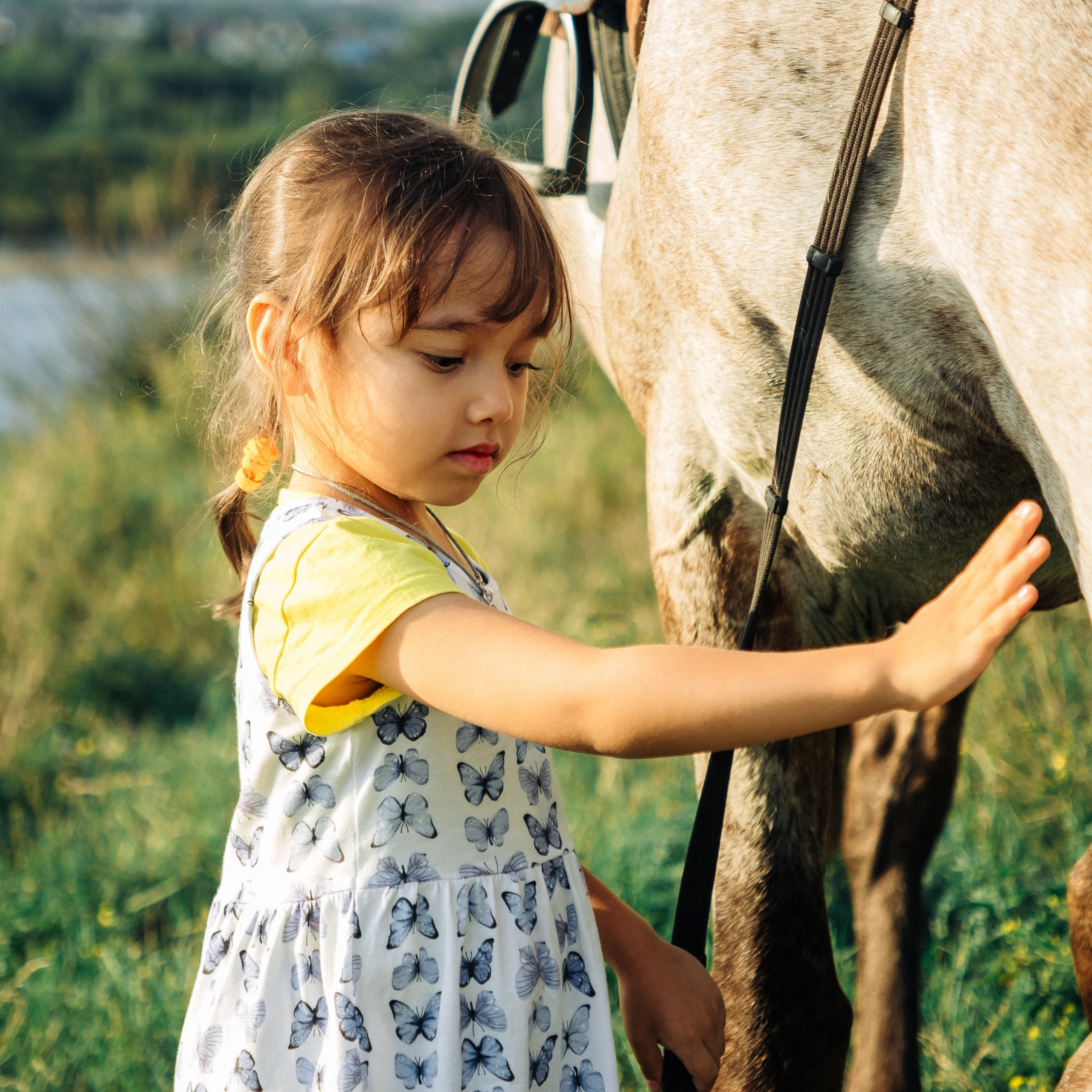 Фотопрогулка с лошадью