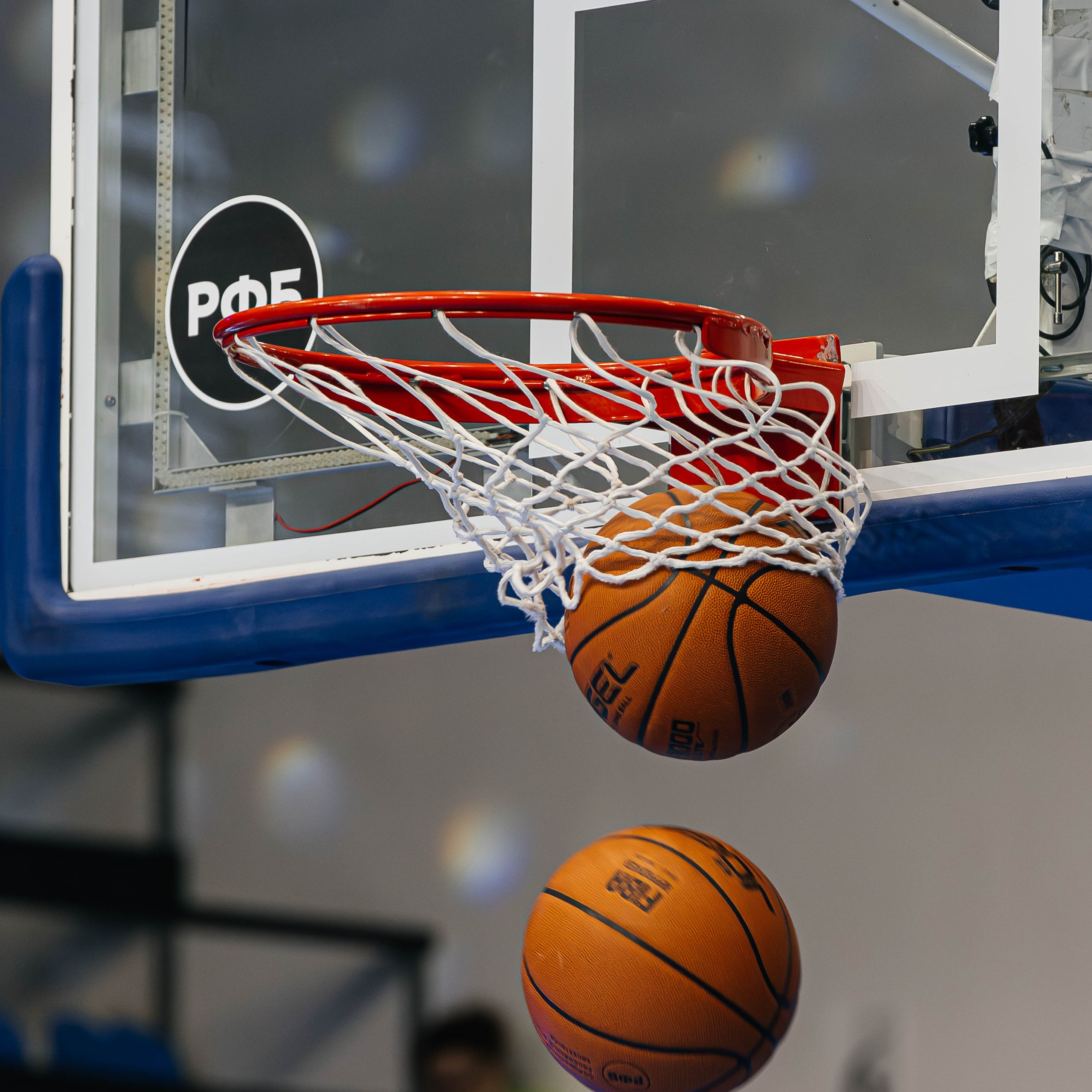 Баскетбол&nbsp;— Динамо