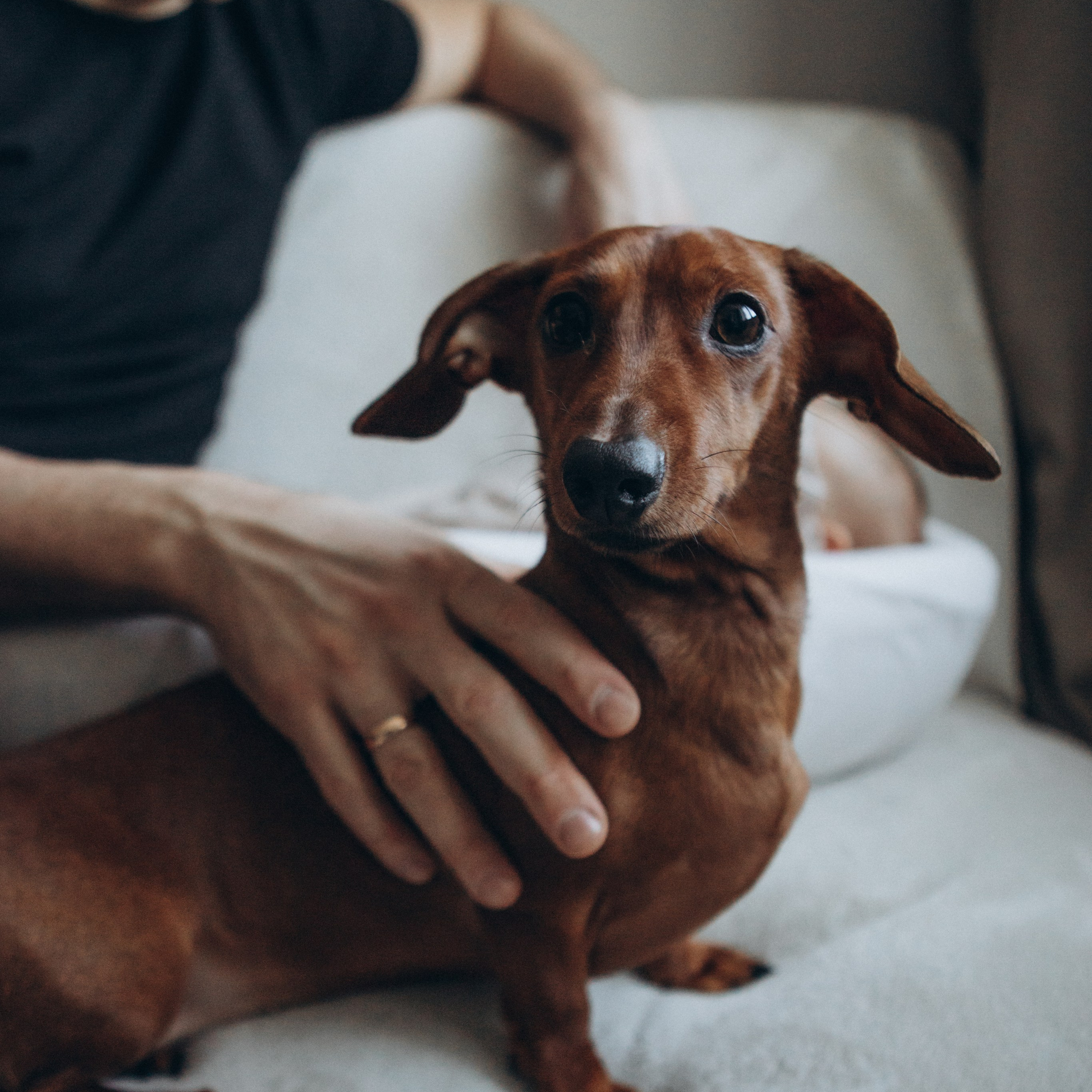 Руслан Раиля Майа