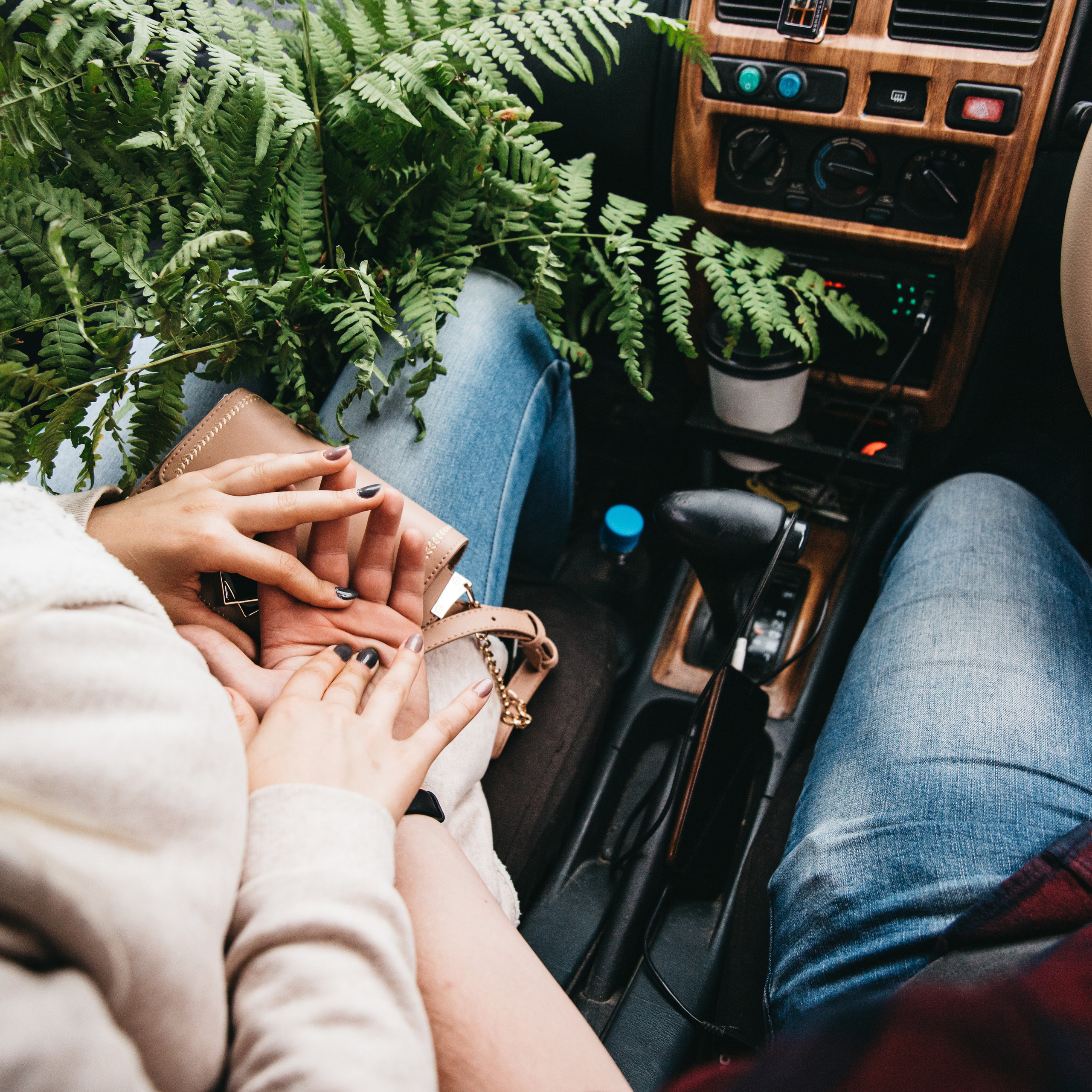 Вечерние радости