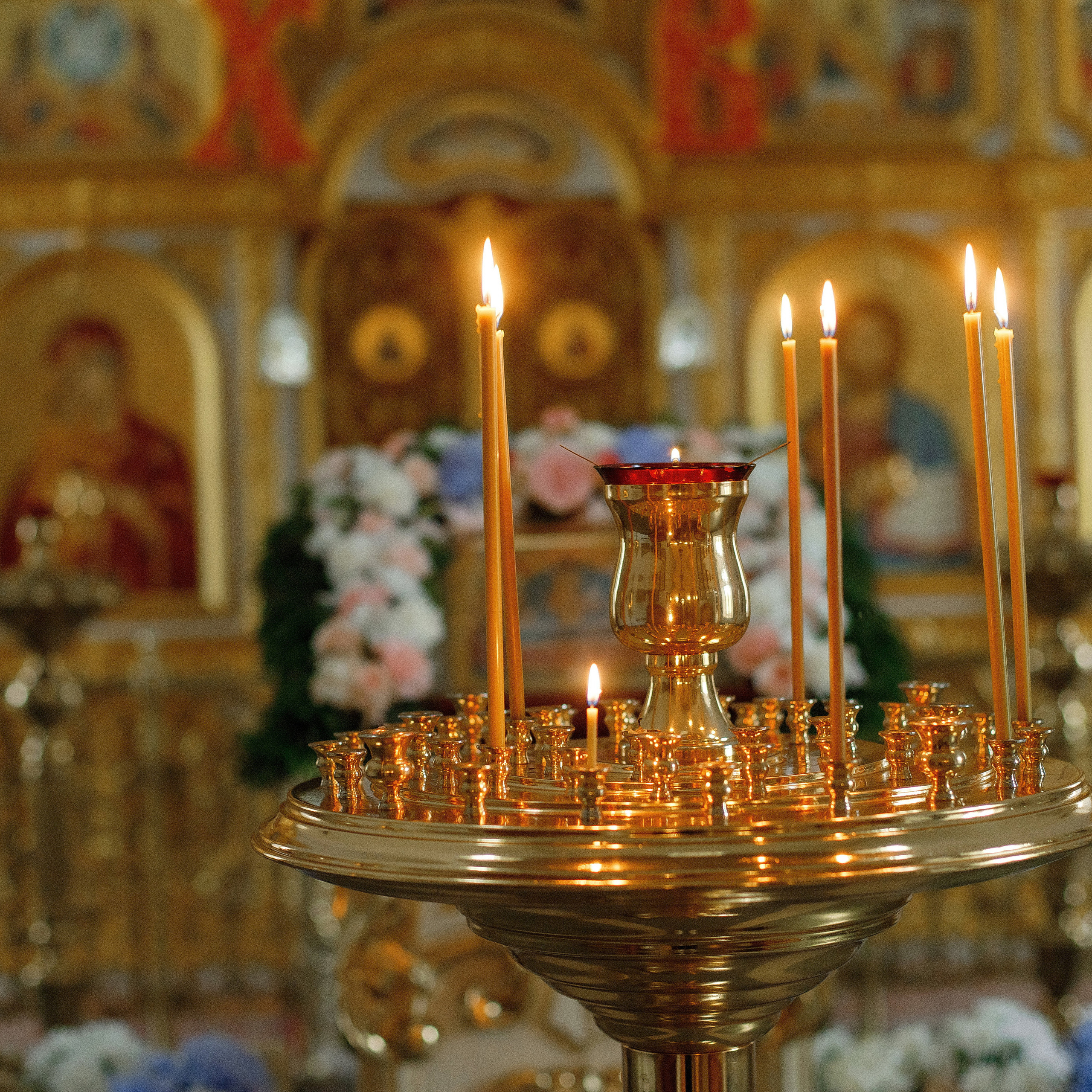 Отзывы. Профессиональный фотограф в Подольске Елена Локтионова