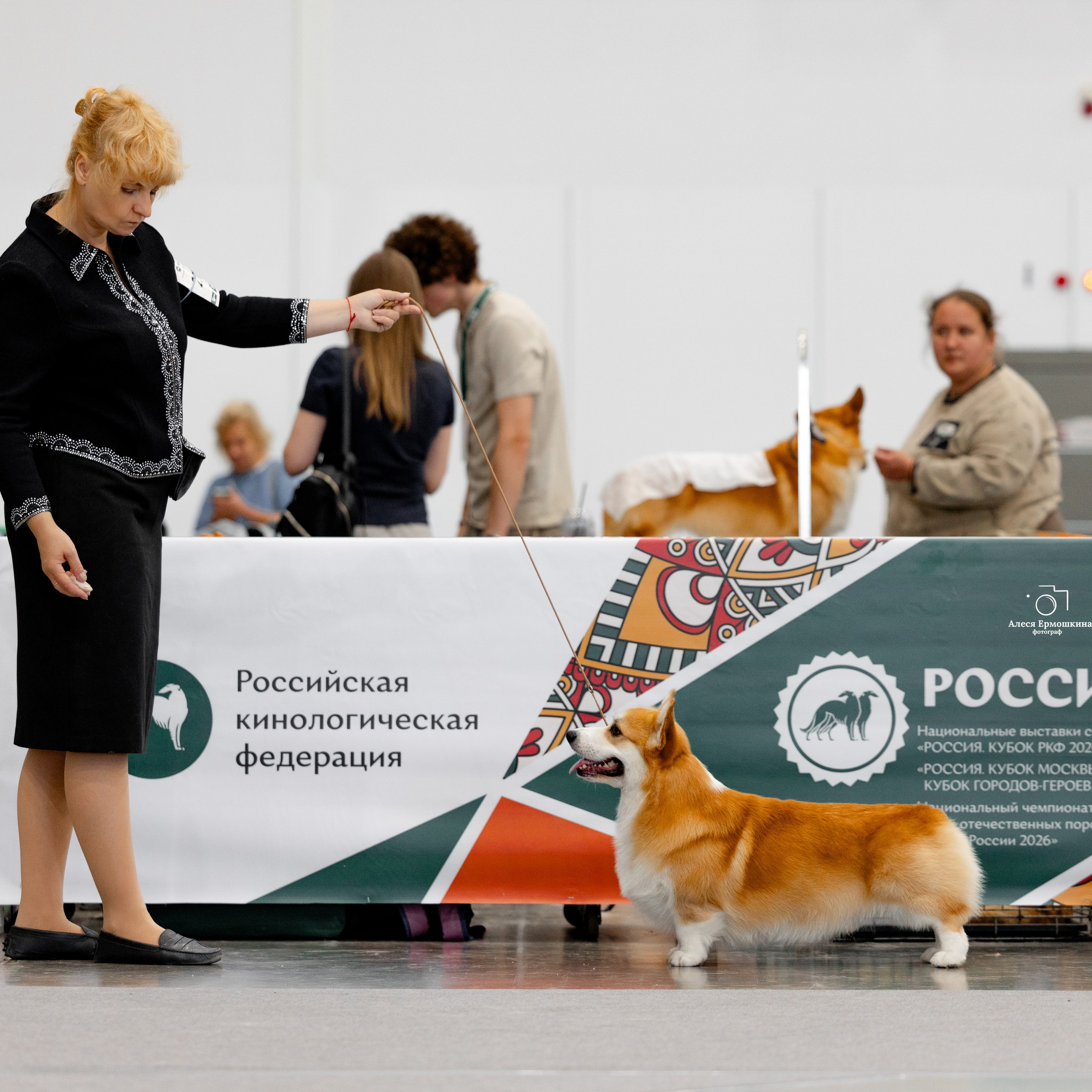 Выставки