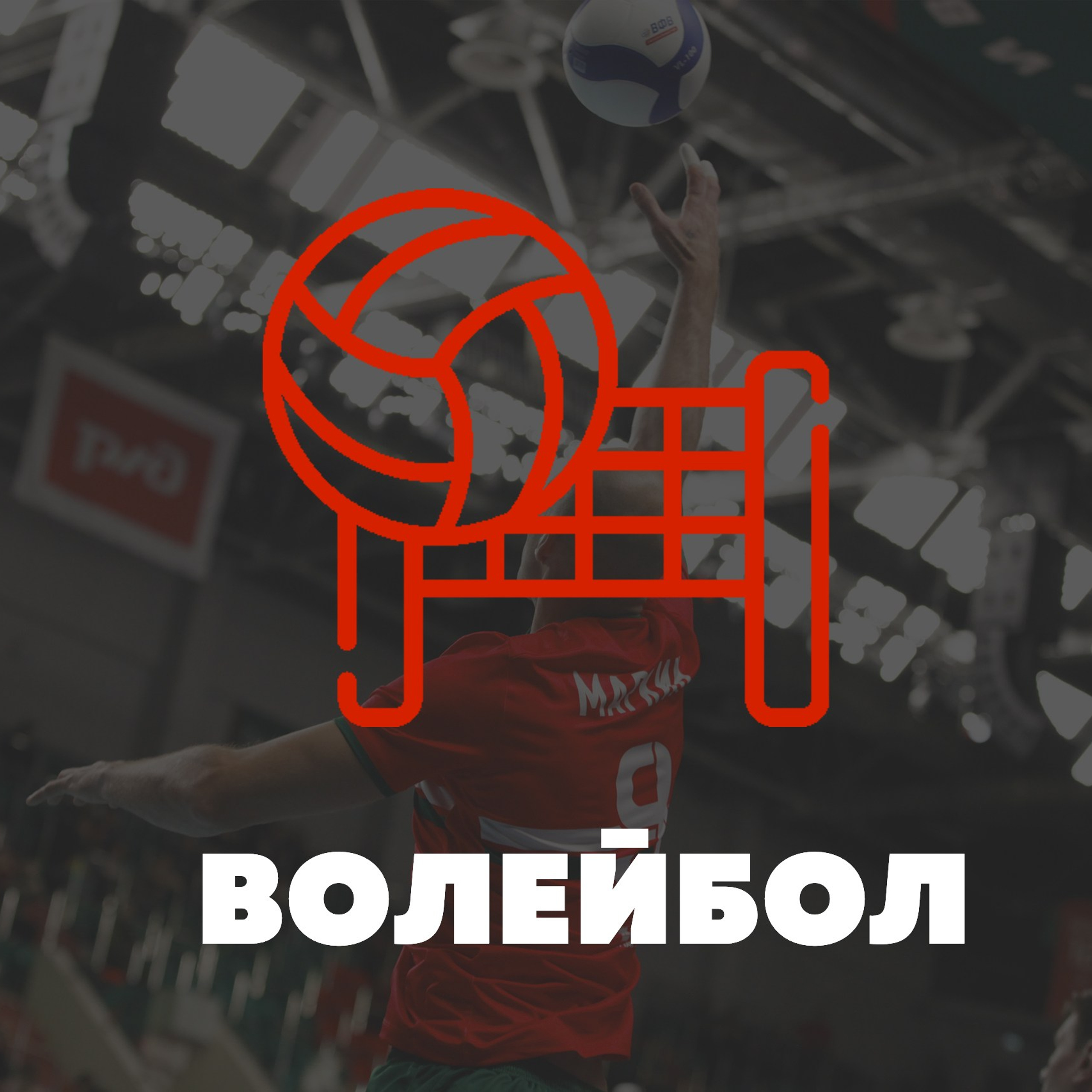 ВОЛЕЙБОЛ. Фото