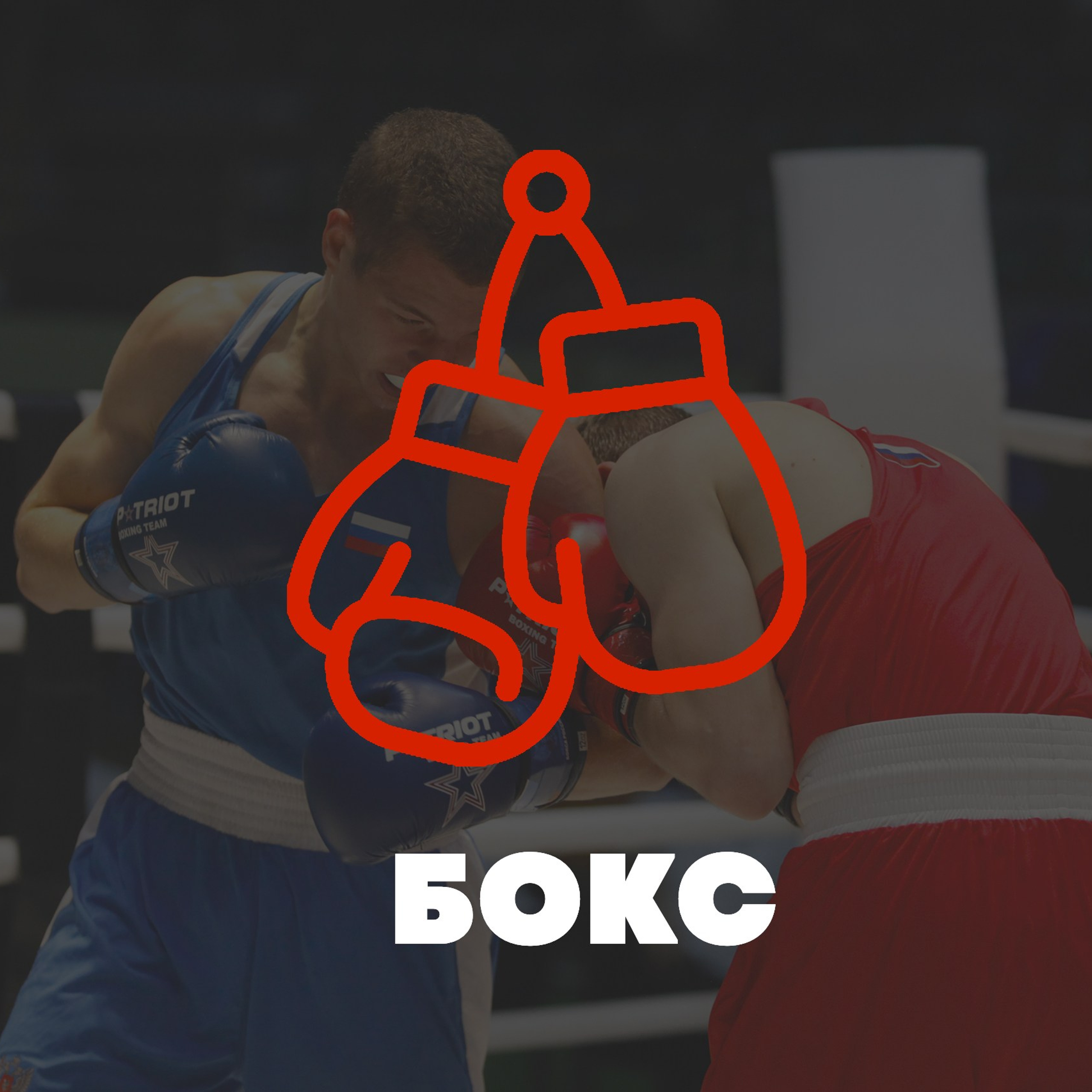 БОКС. Фото