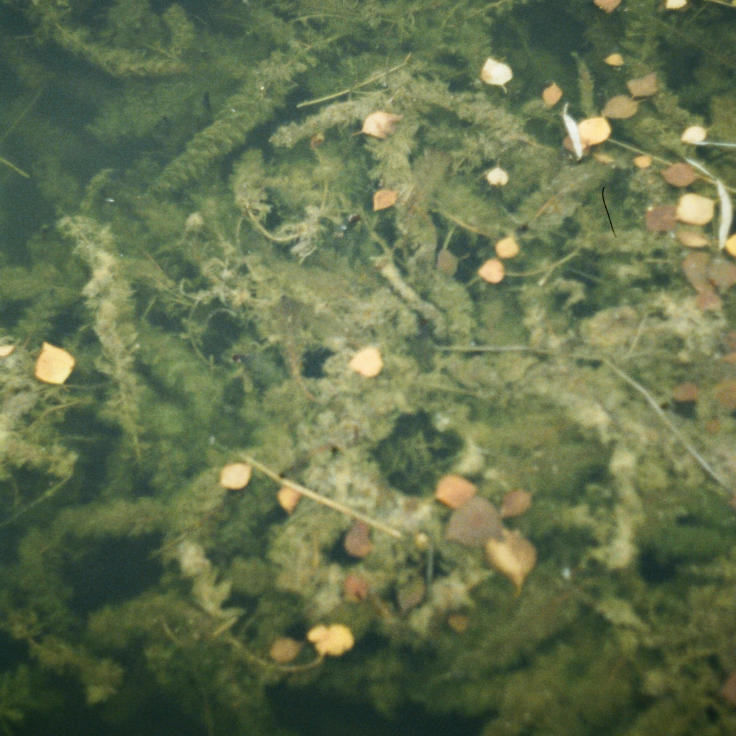 Якутия. Главная