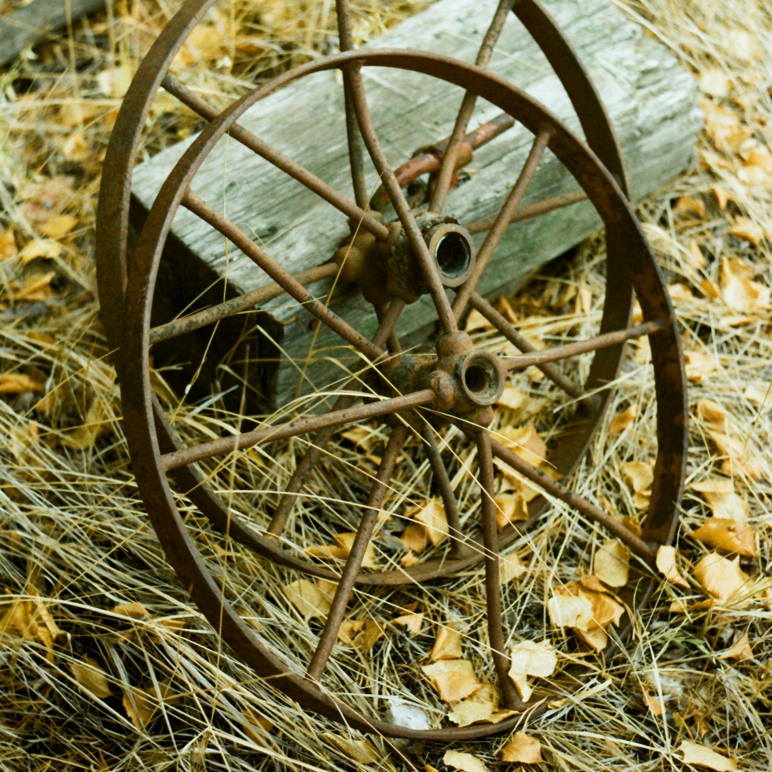 Якутия. Главная