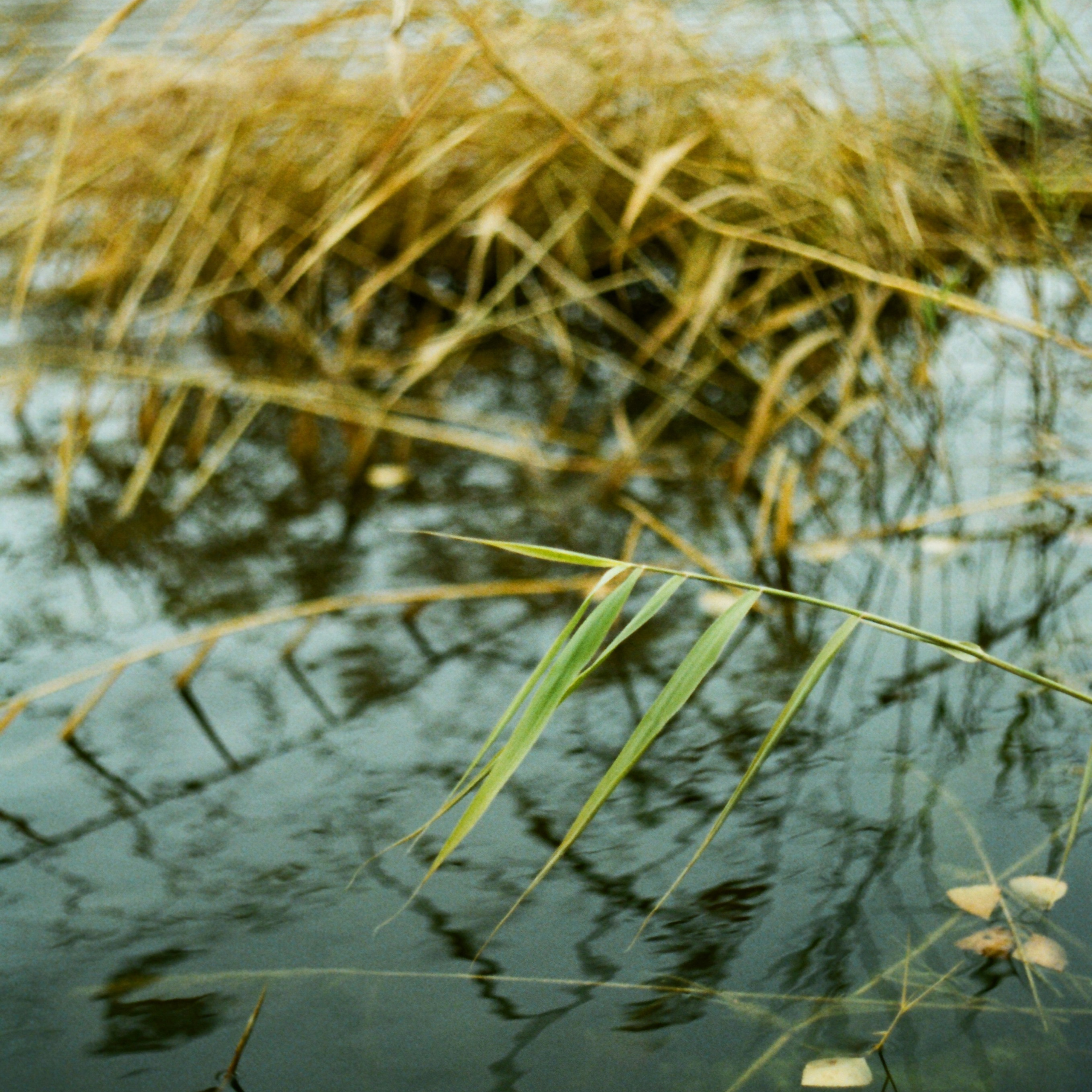 Якутия. Главная