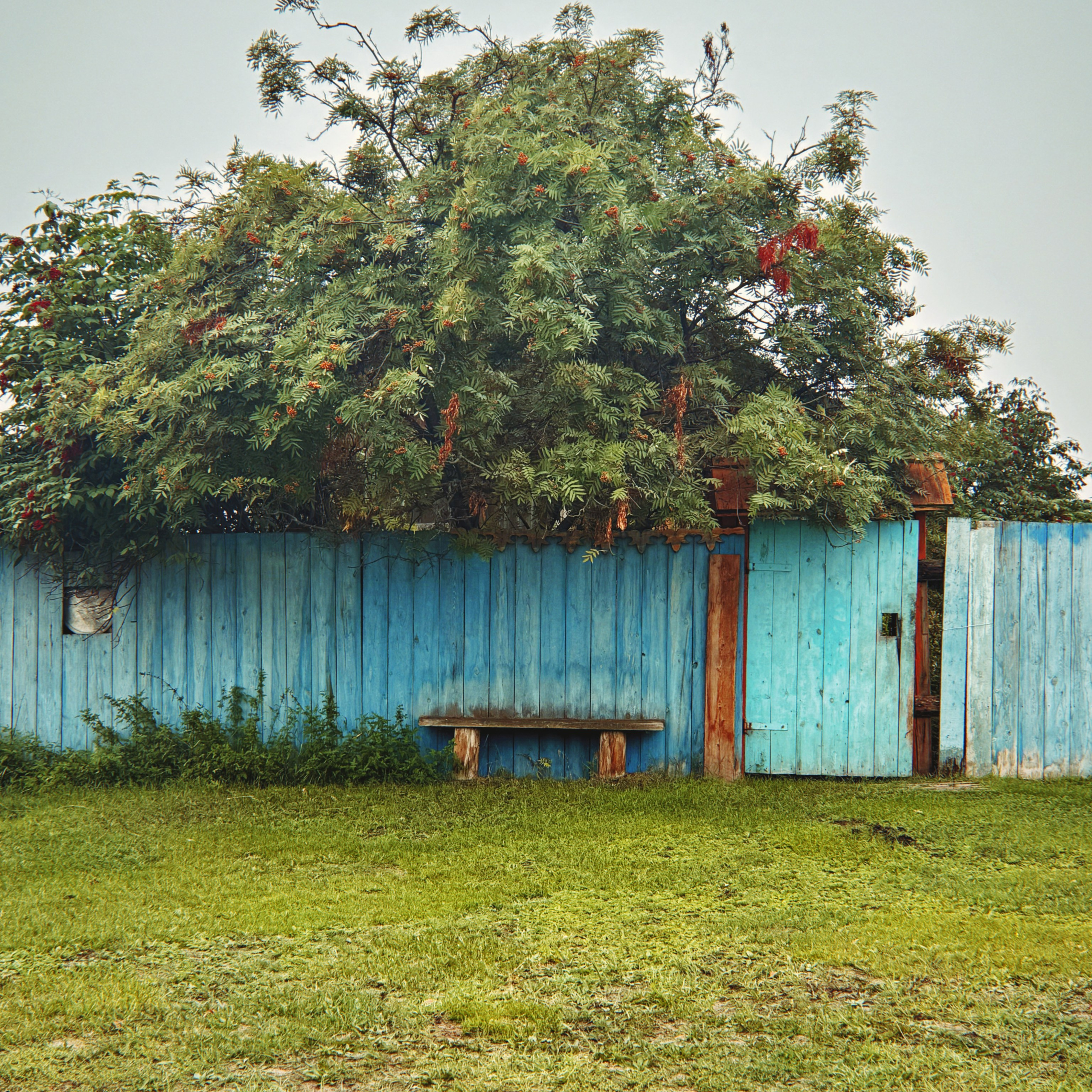 На телефон. Главная