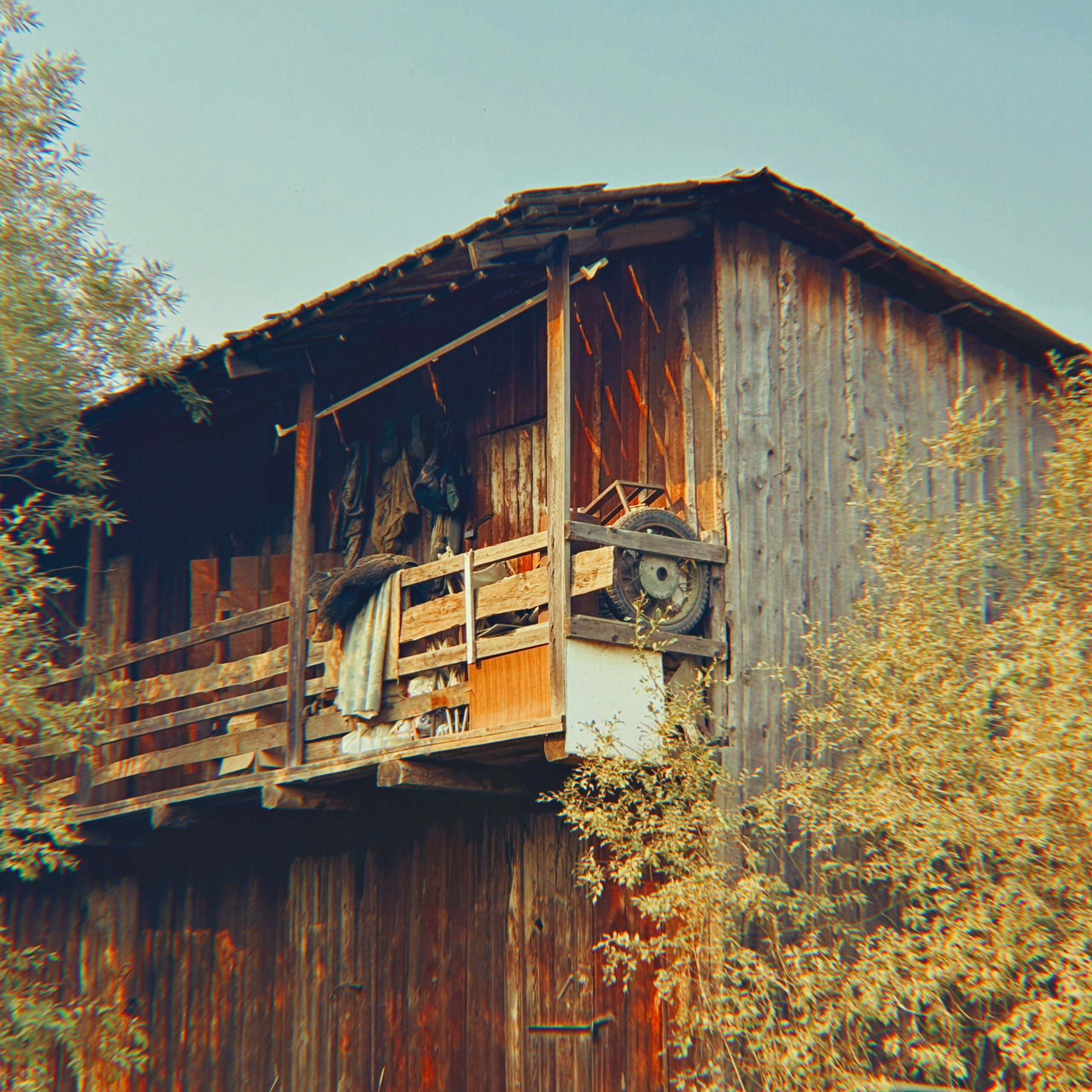 На телефон. Главная