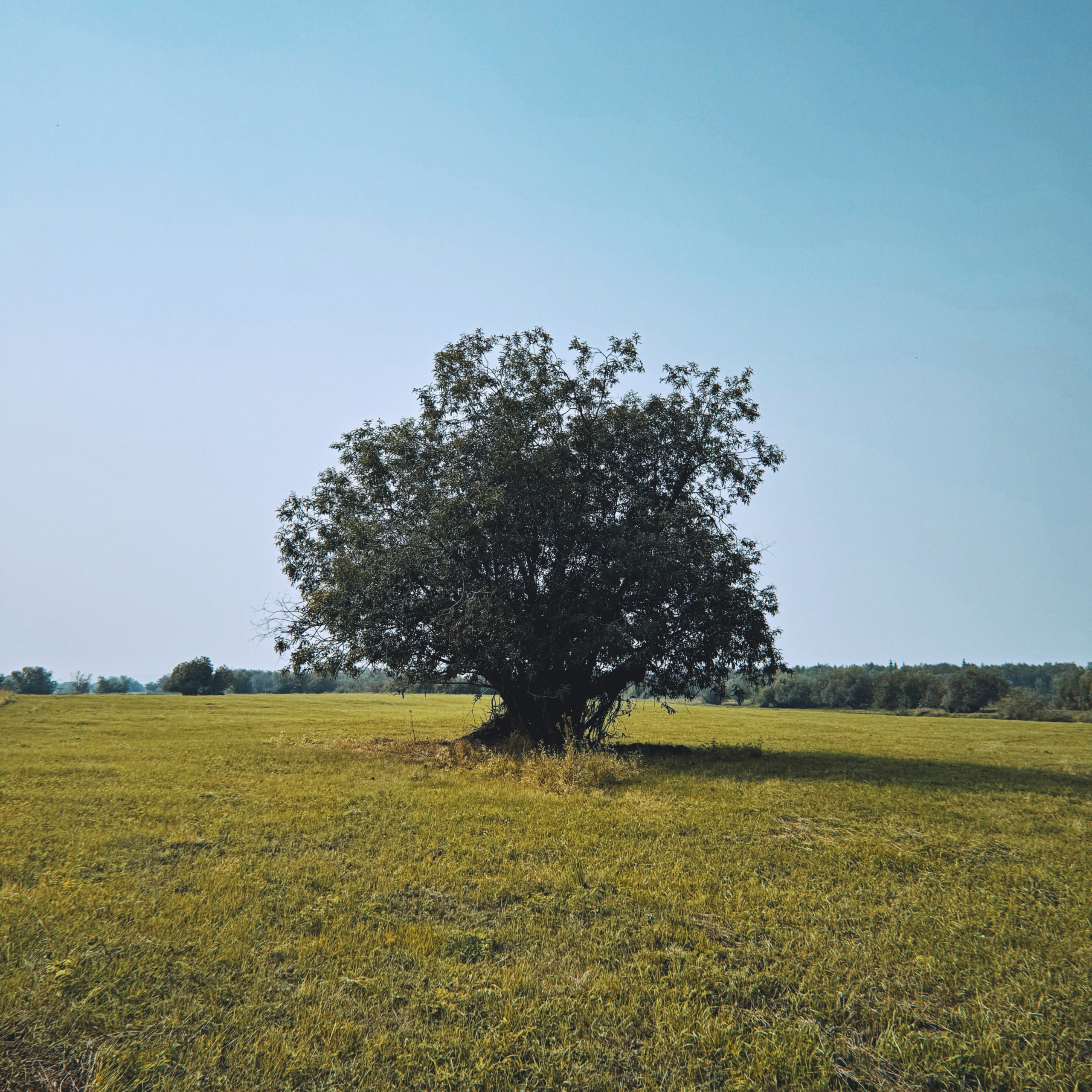 На телефон