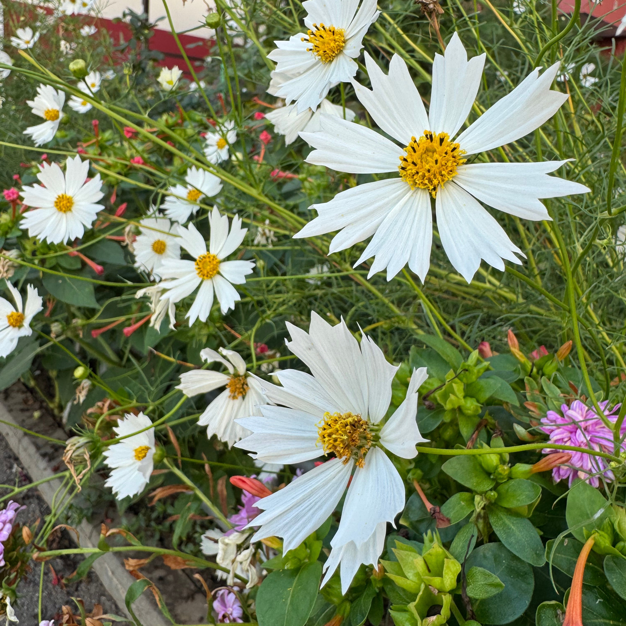 Отзывы. Семейный фотограф в Краснодаре
