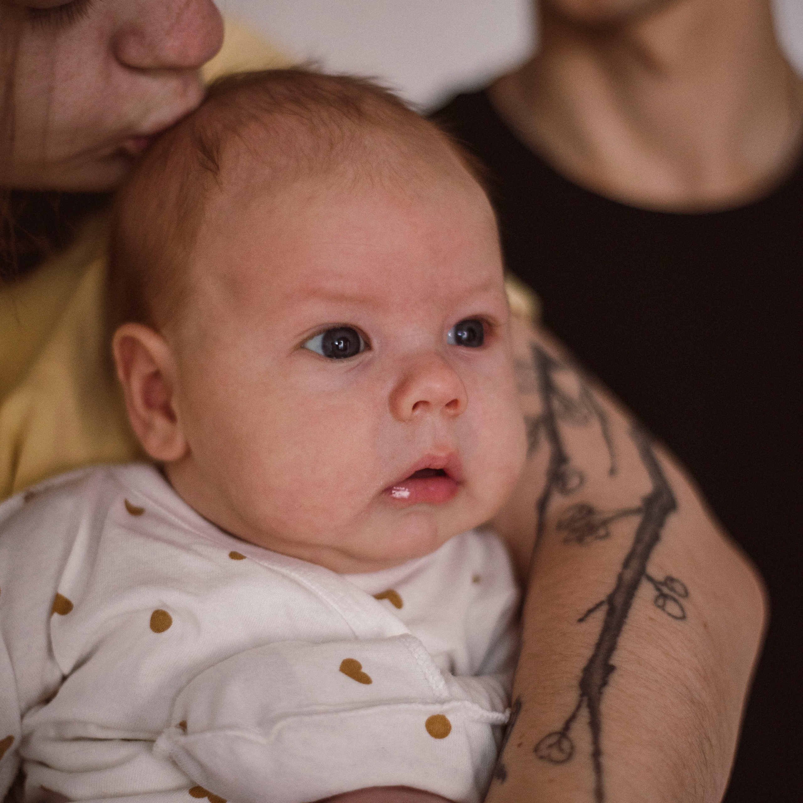 Домашние съемки