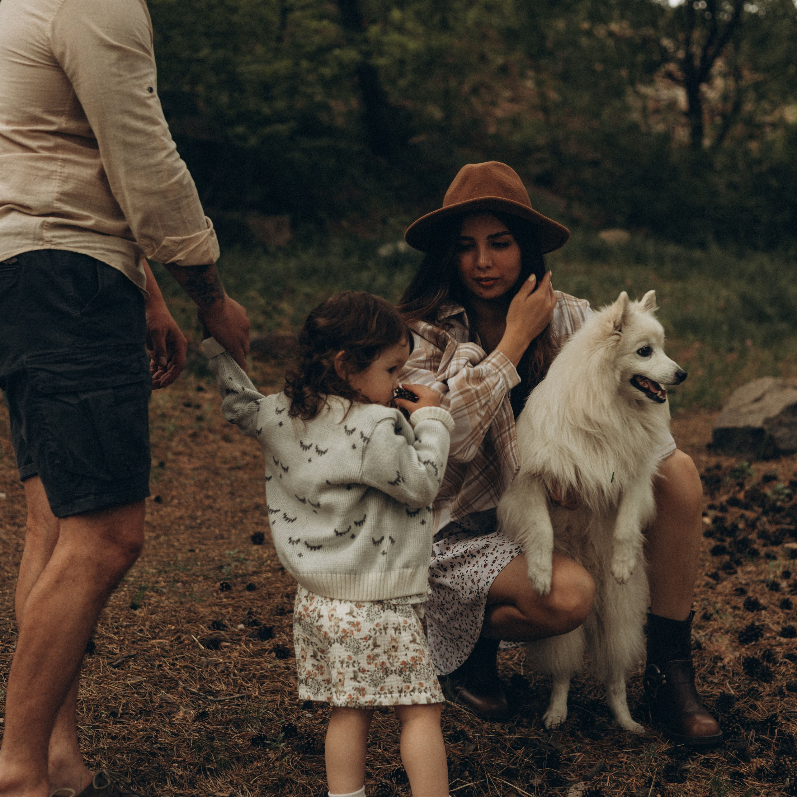 Лесная прогулка