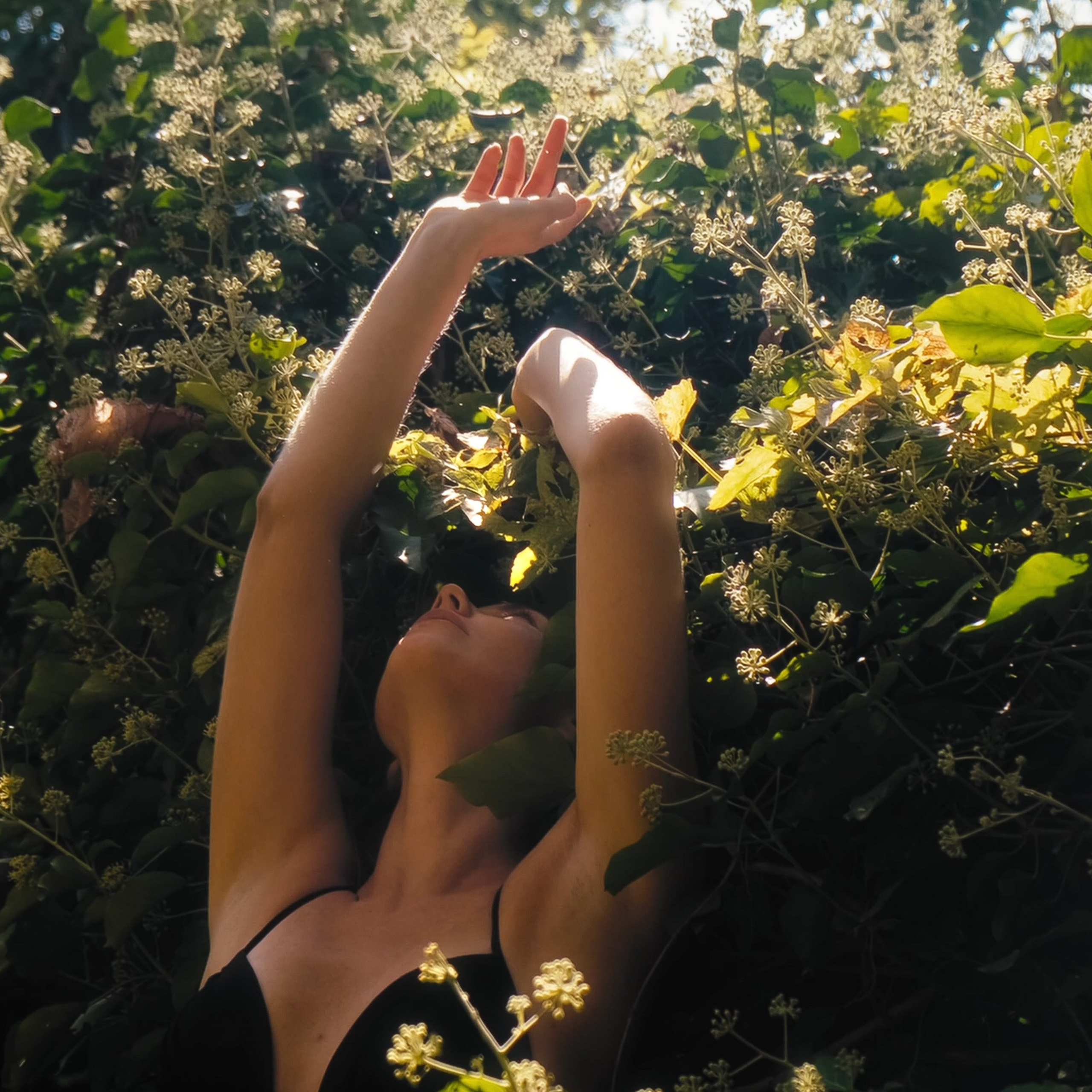 Елена Барзаковская