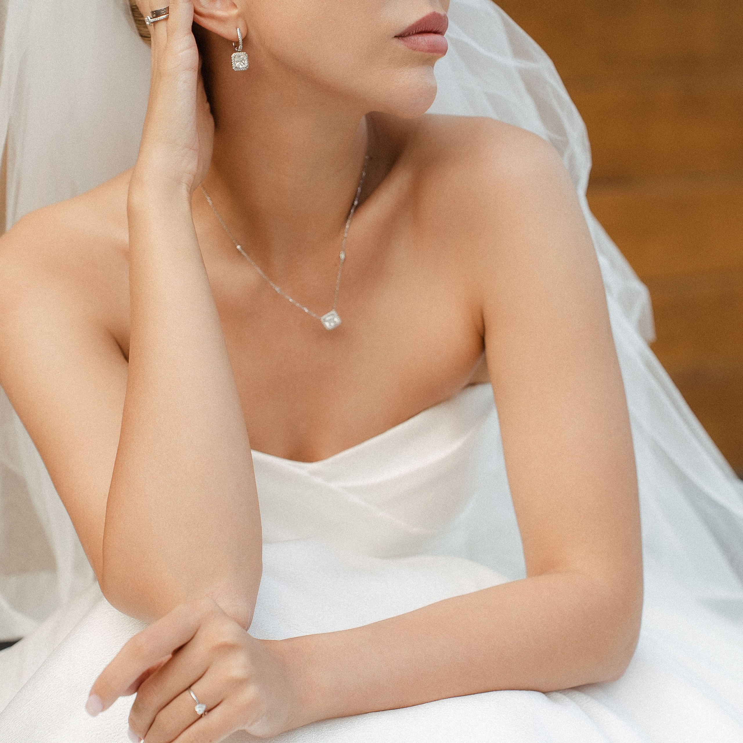 12-08-2024 Vadim & Alina, Hyatt/Barvikha. Свадебный и семейный фотограф Москва