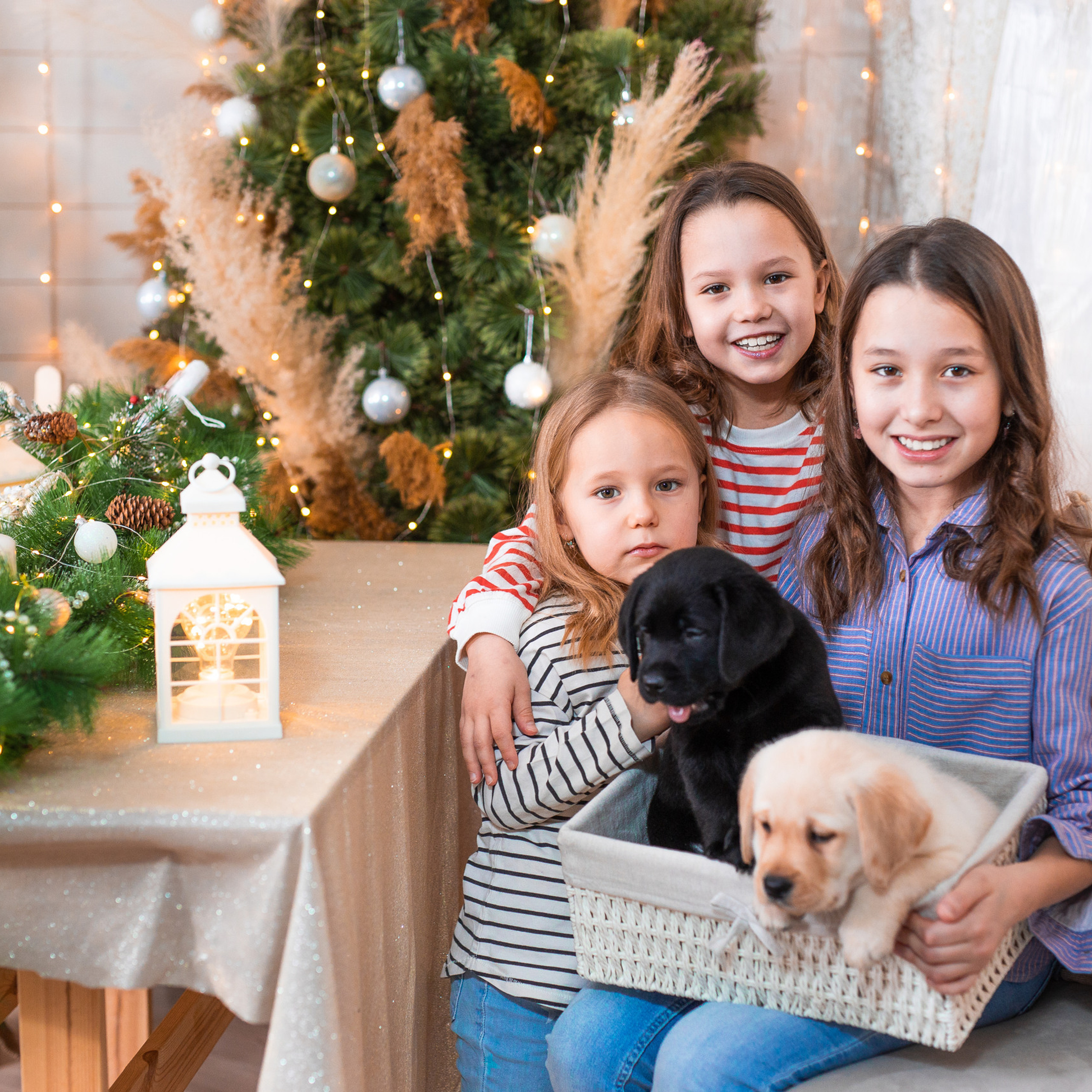 Отзывы. Свадебный и семейный фотограф в Алматы Алексей Балышев