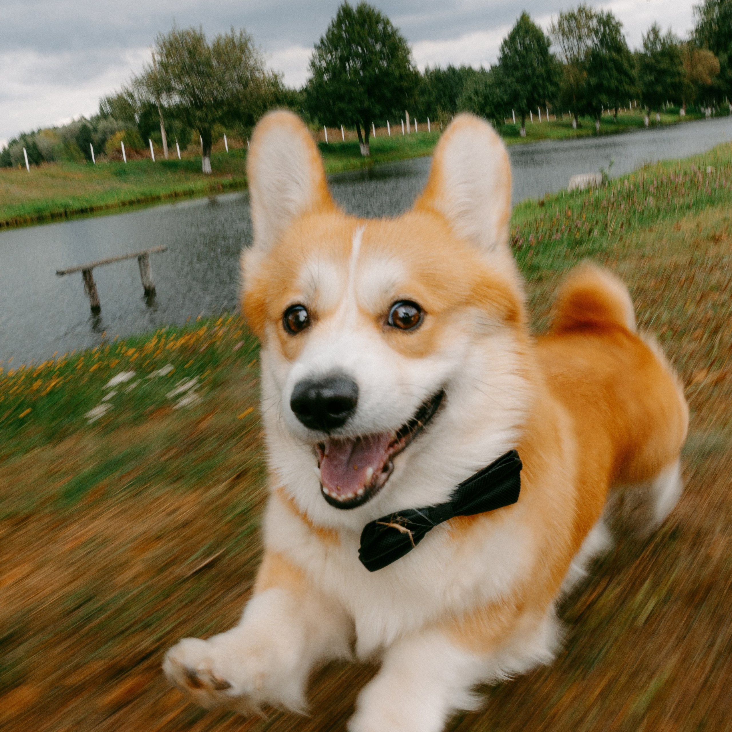 BULKA. EFIMOV IN SPACE — свадебный фотограф