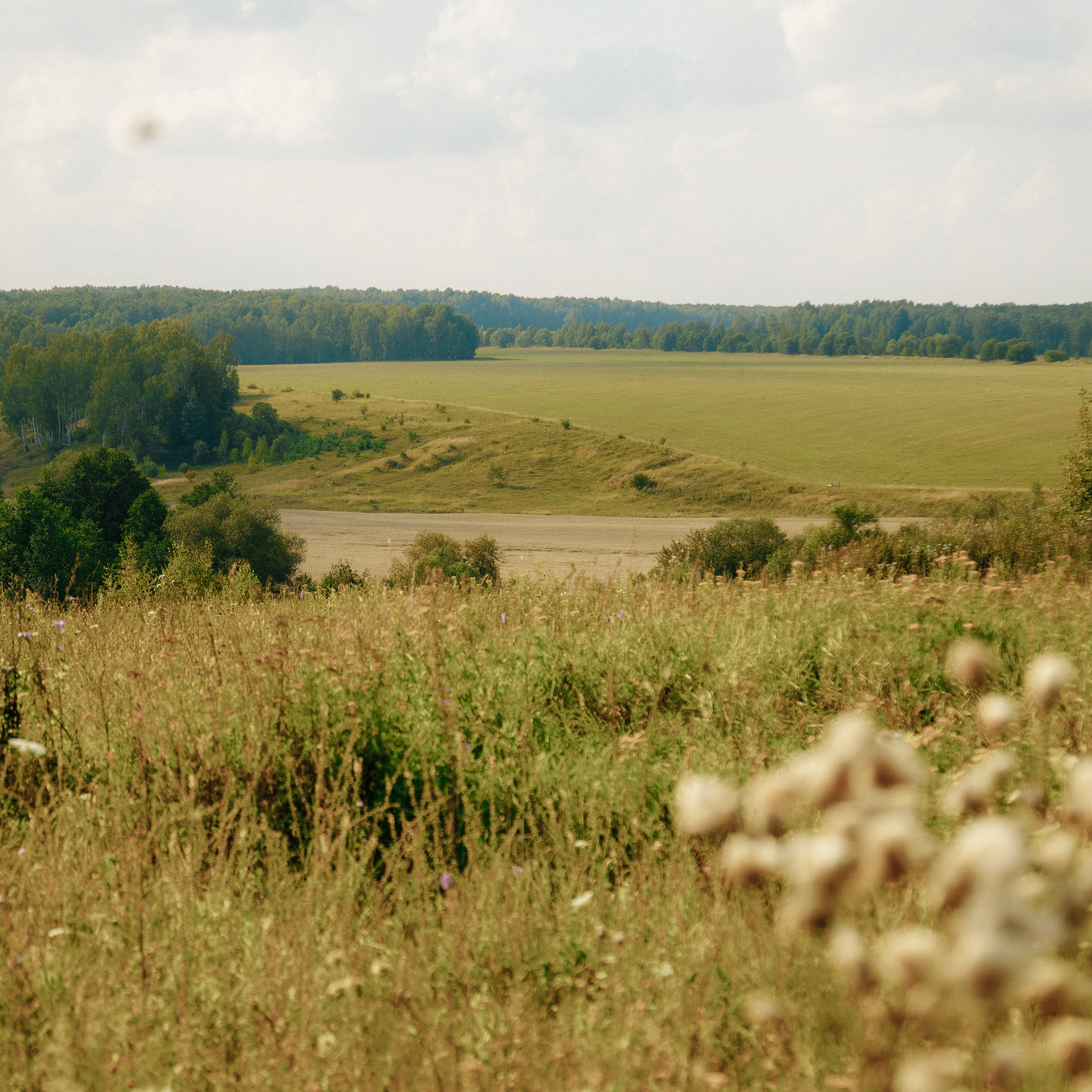 ДО ГРОБА. EFIMOV IN SPACE — свадебный фотограф