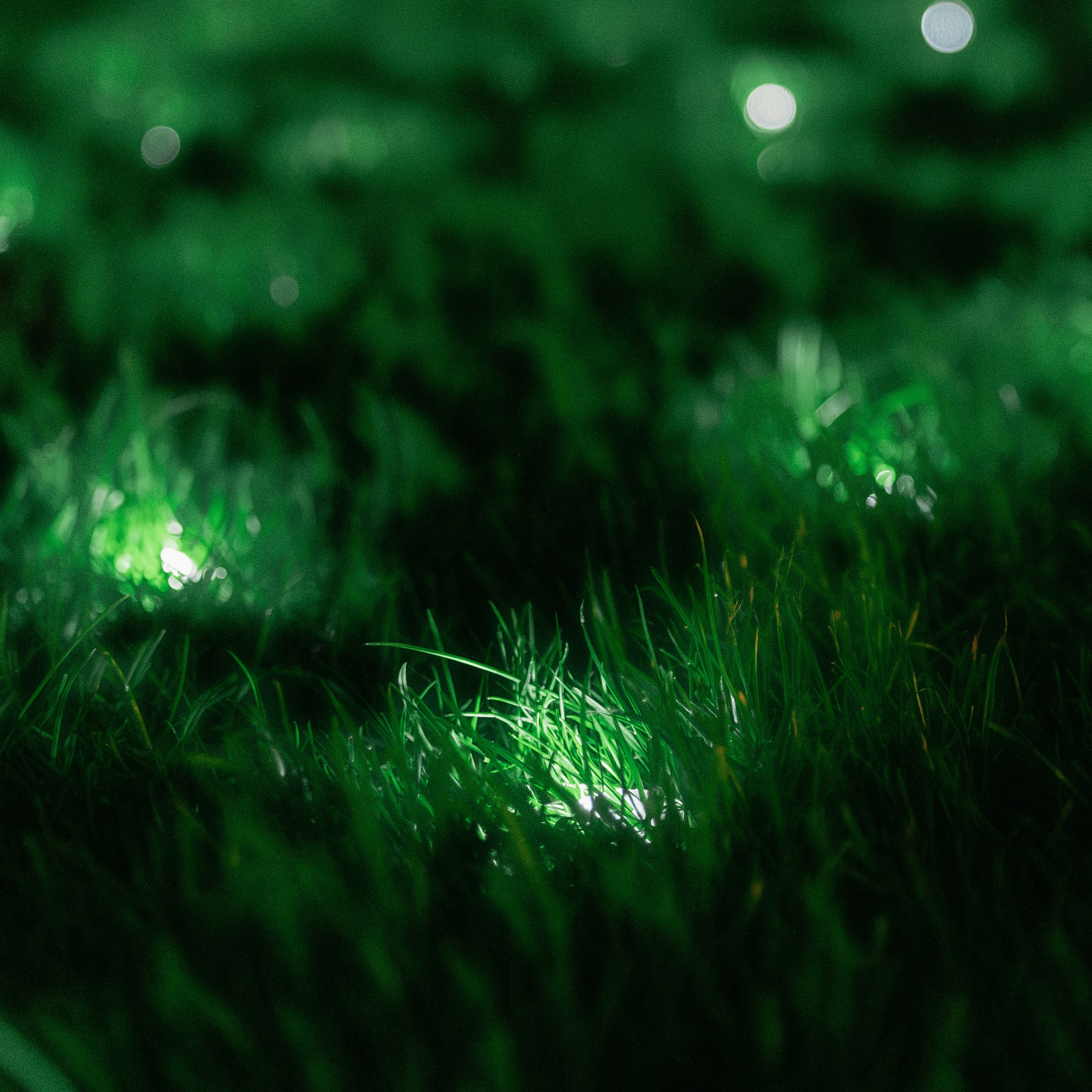 ВЕСНА. EFIMOV IN SPACE — свадебный фотограф