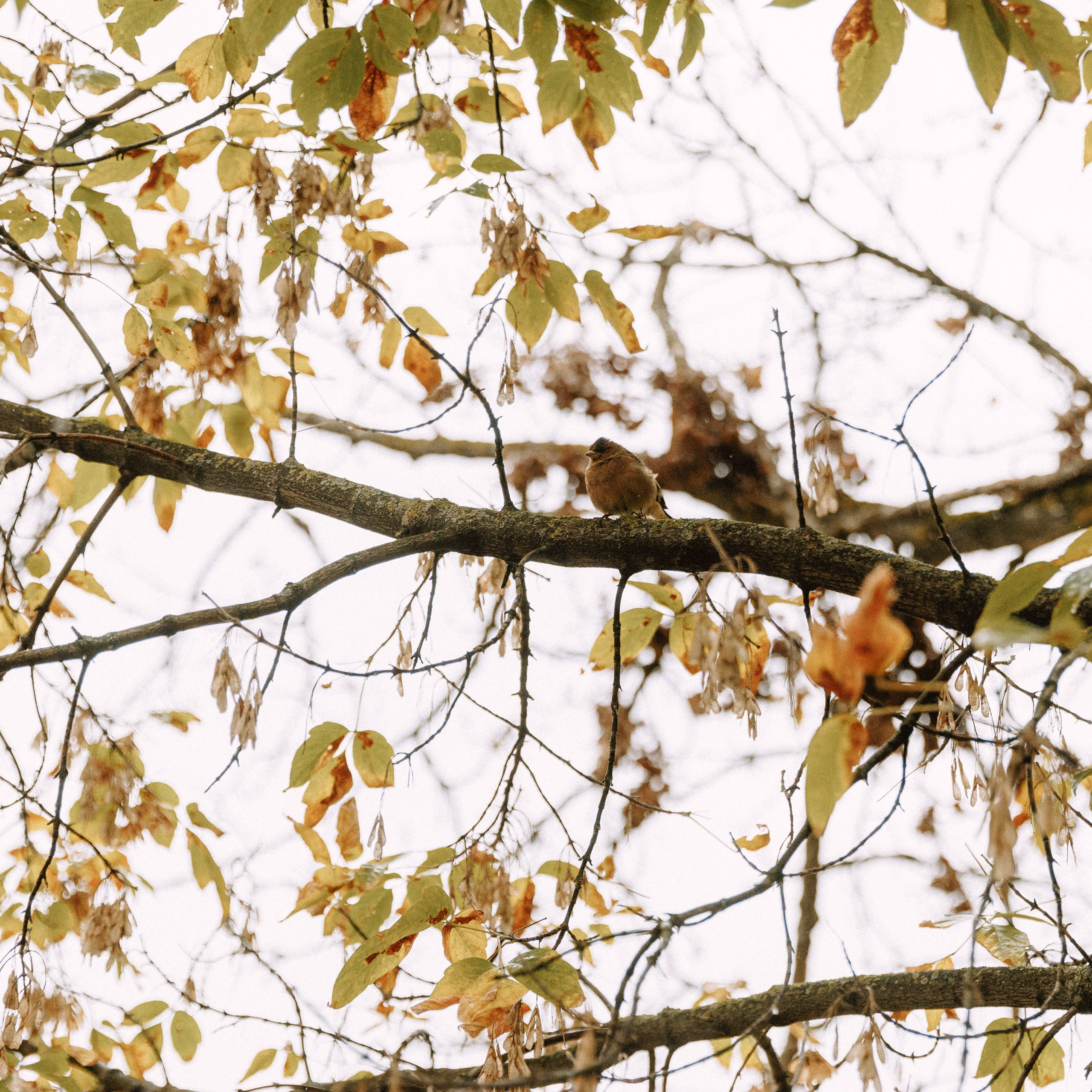 АВАНГАРД. EFIMOV IN SPACE — свадебный фотограф