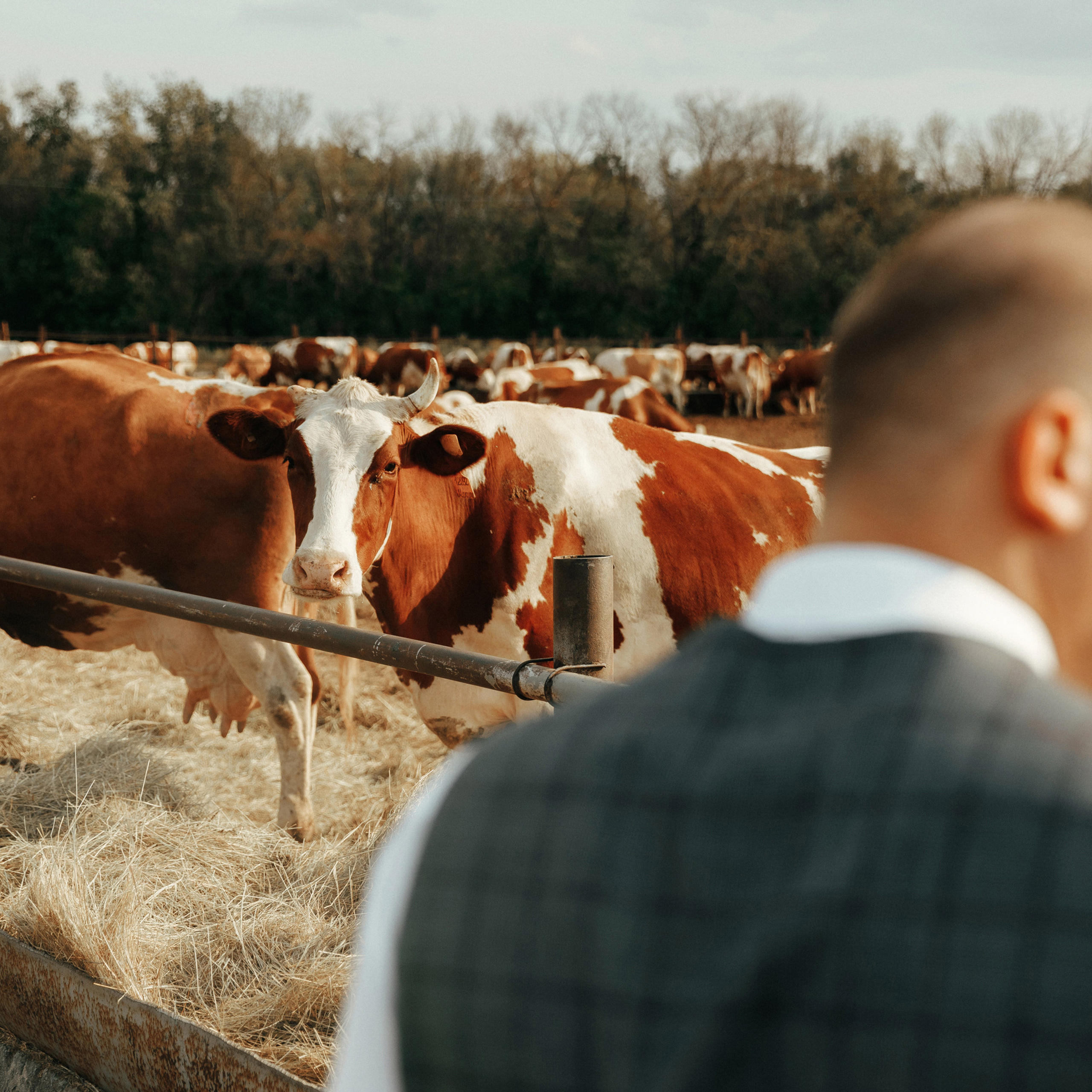 SHEBEKINO. EFIMOV IN SPACE — свадебный фотограф
