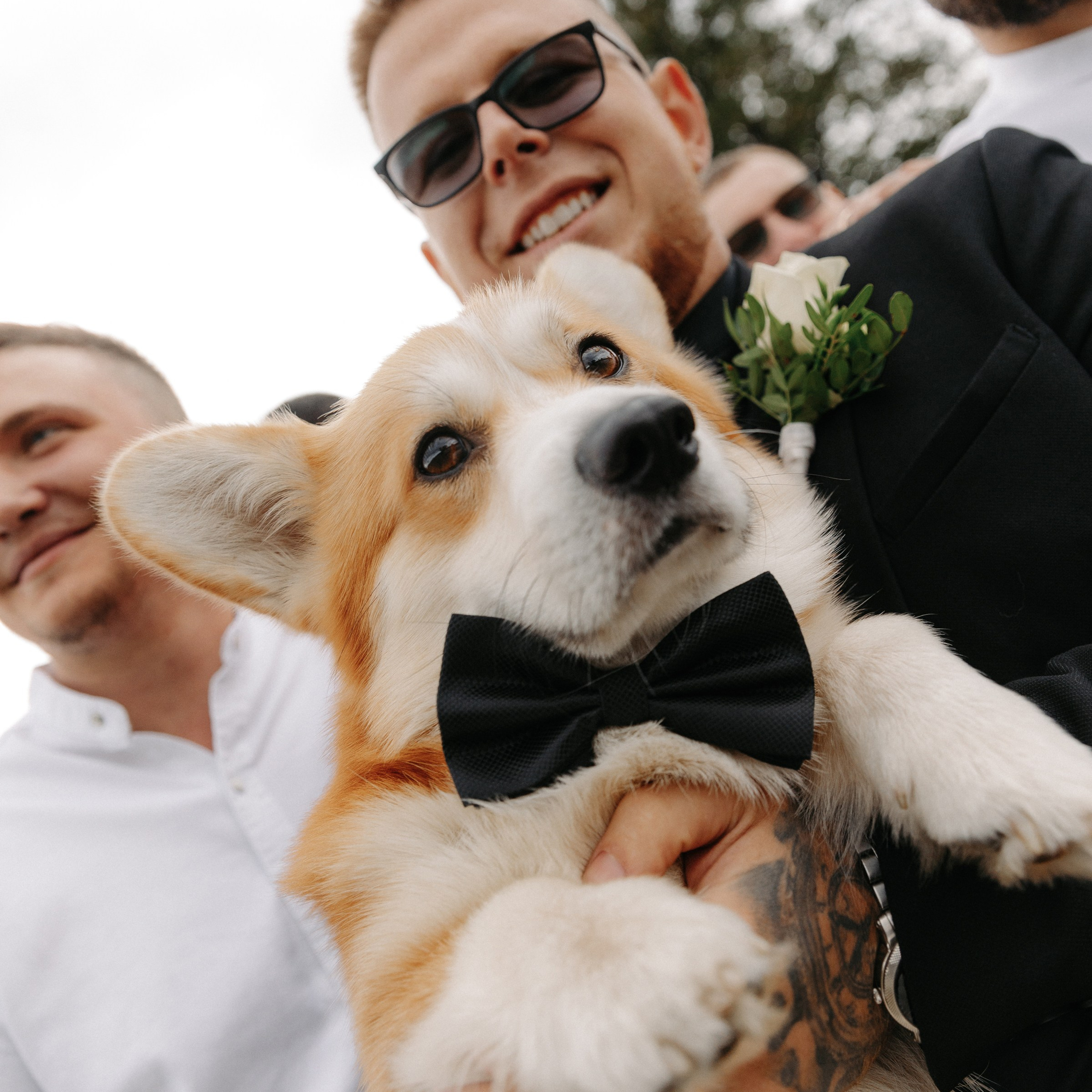 BULKA. EFIMOV IN SPACE — свадебный фотограф