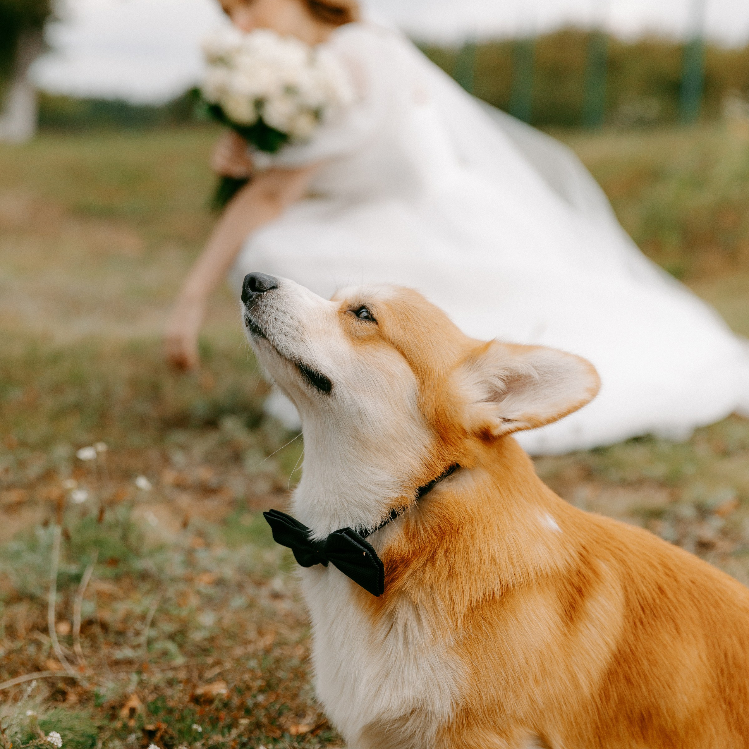 BULKA. EFIMOV IN SPACE — свадебный фотограф