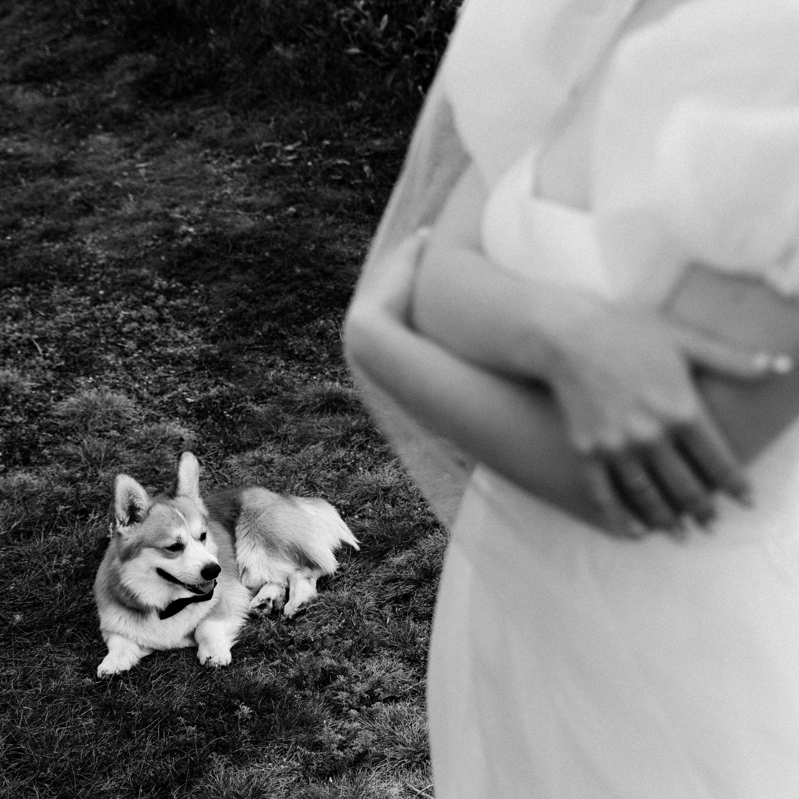 BULKA. EFIMOV IN SPACE — свадебный фотограф