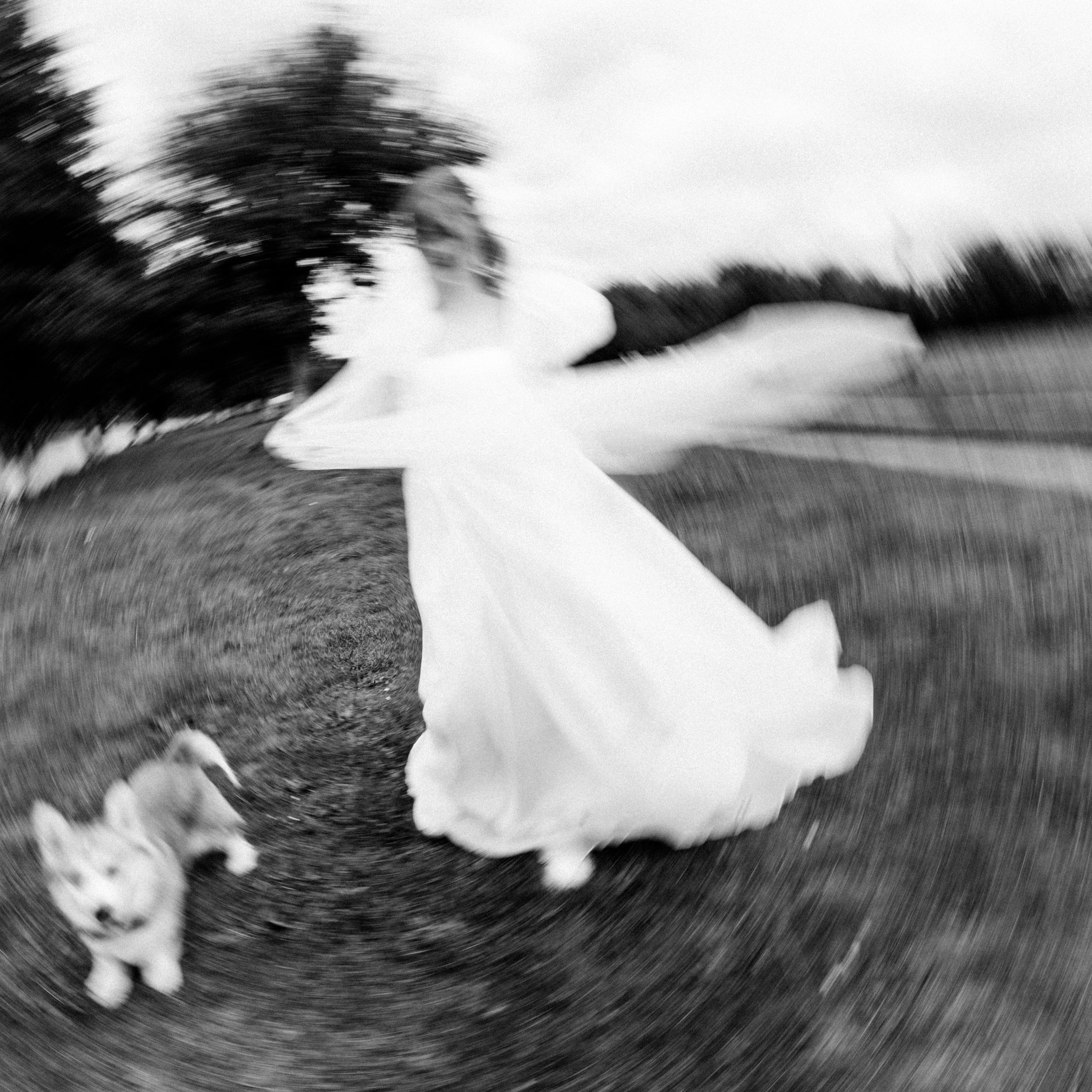 BULKA. EFIMOV IN SPACE — свадебный фотограф