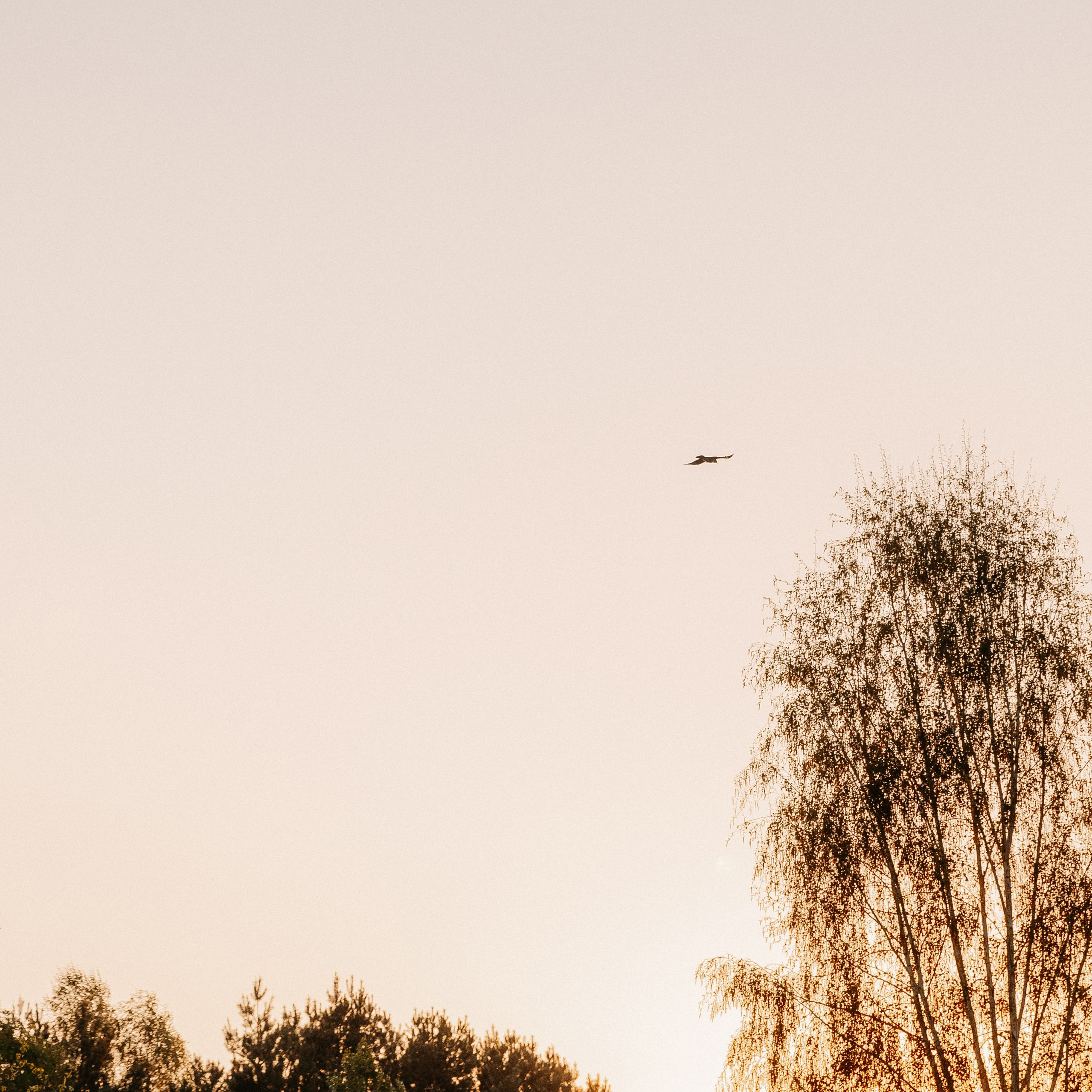 ВЕСНА. EFIMOV IN SPACE — свадебный фотограф