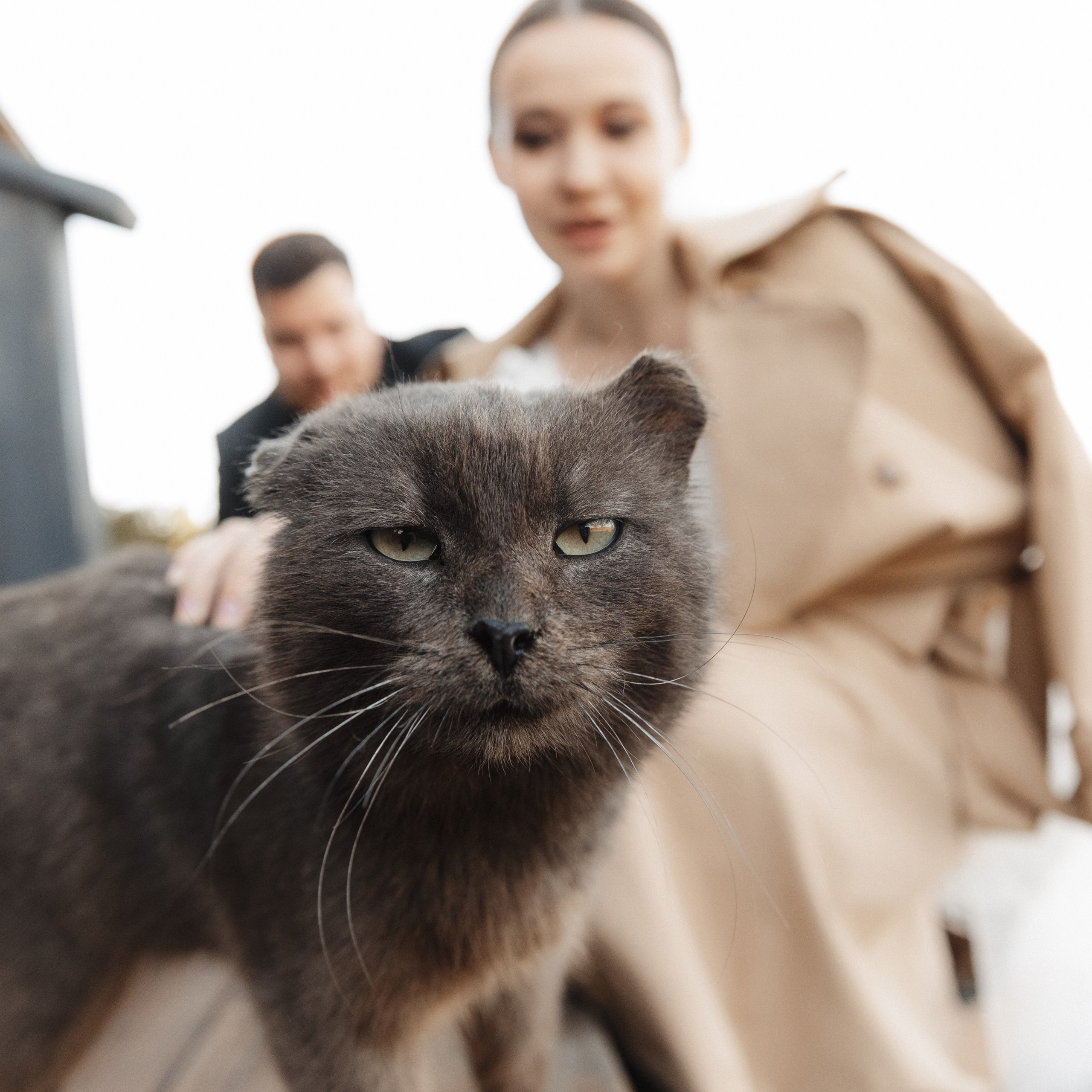 MARK. EFIMOV IN SPACE — свадебный фотограф