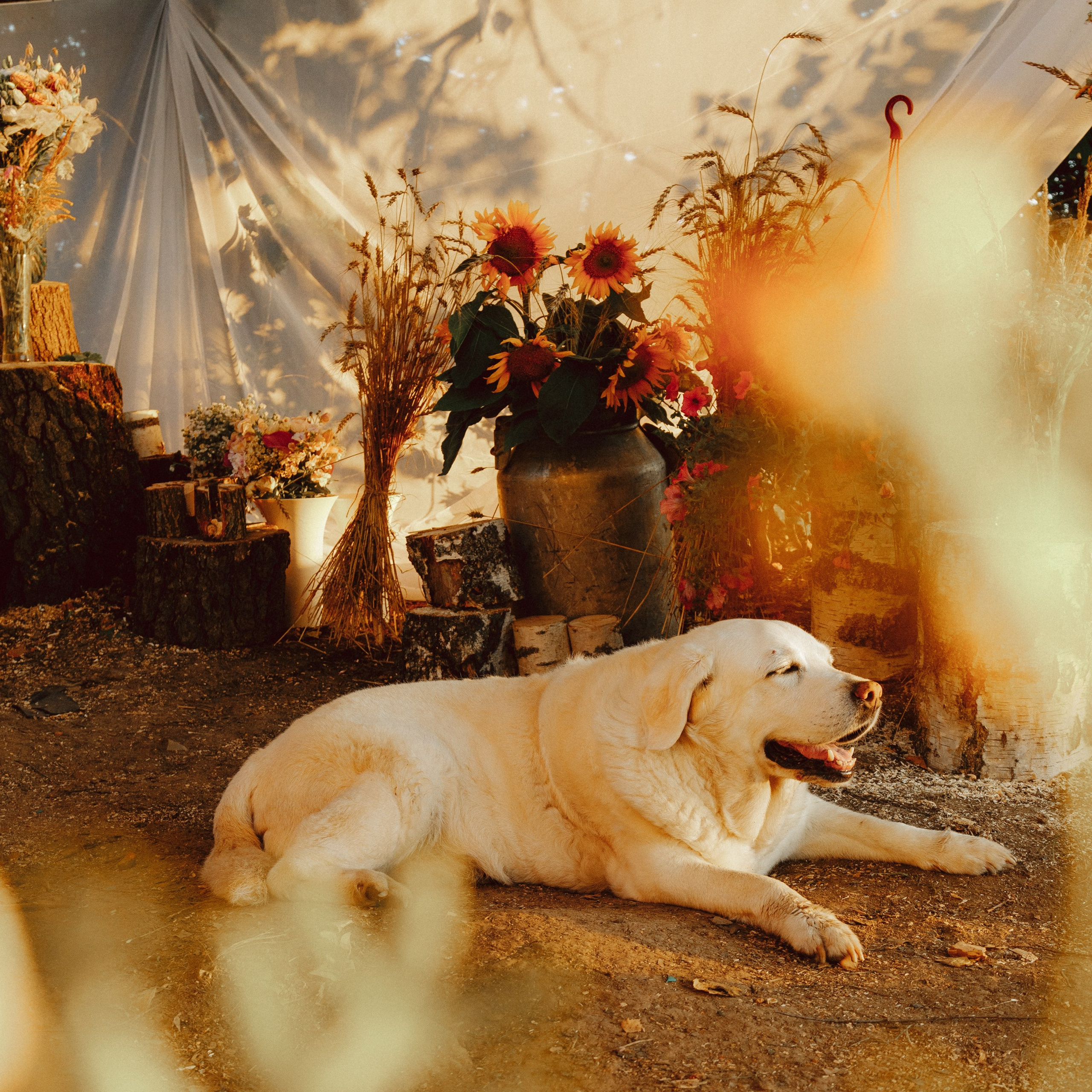 ДО ГРОБА. EFIMOV IN SPACE — свадебный фотограф
