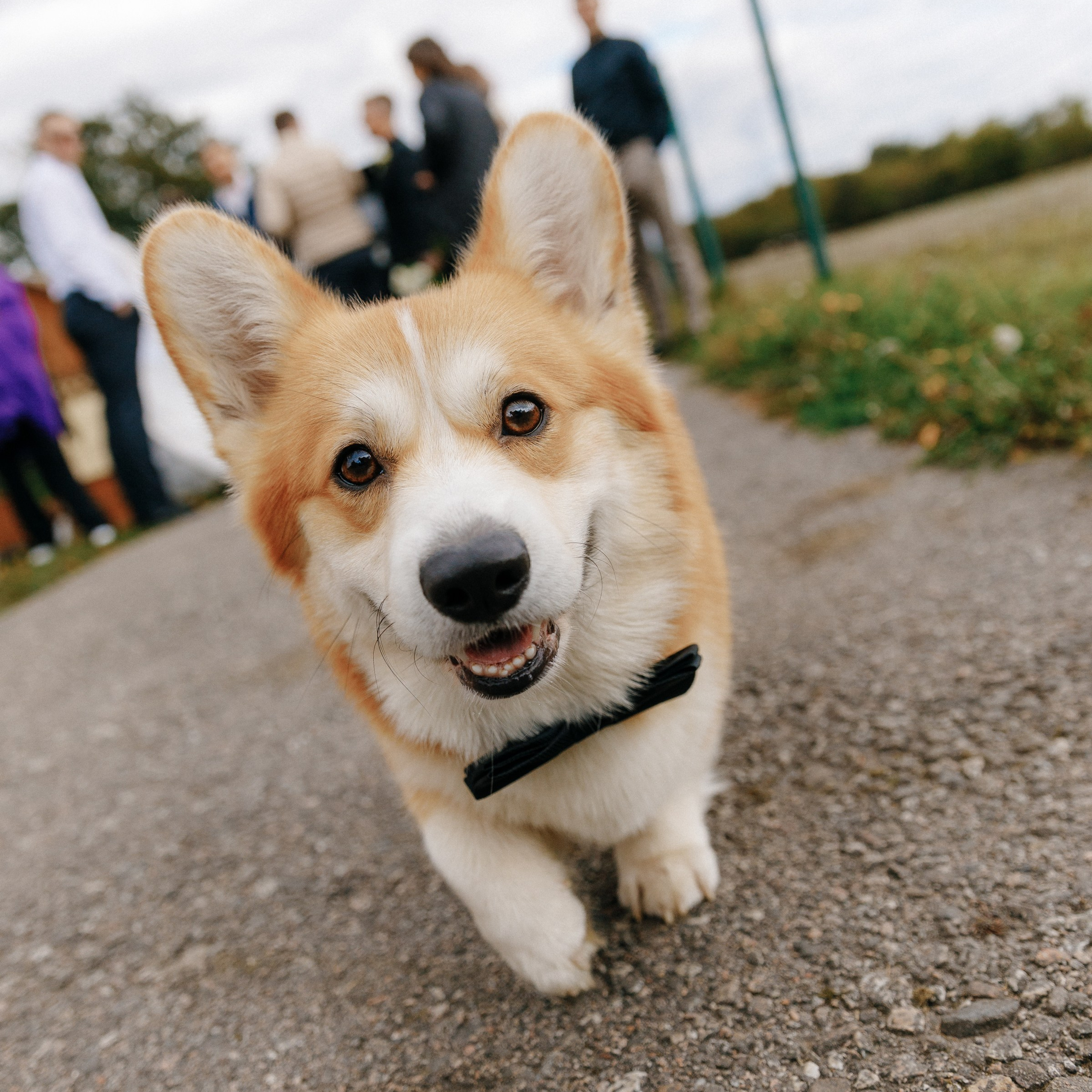 BULKA. EFIMOV IN SPACE — свадебный фотограф