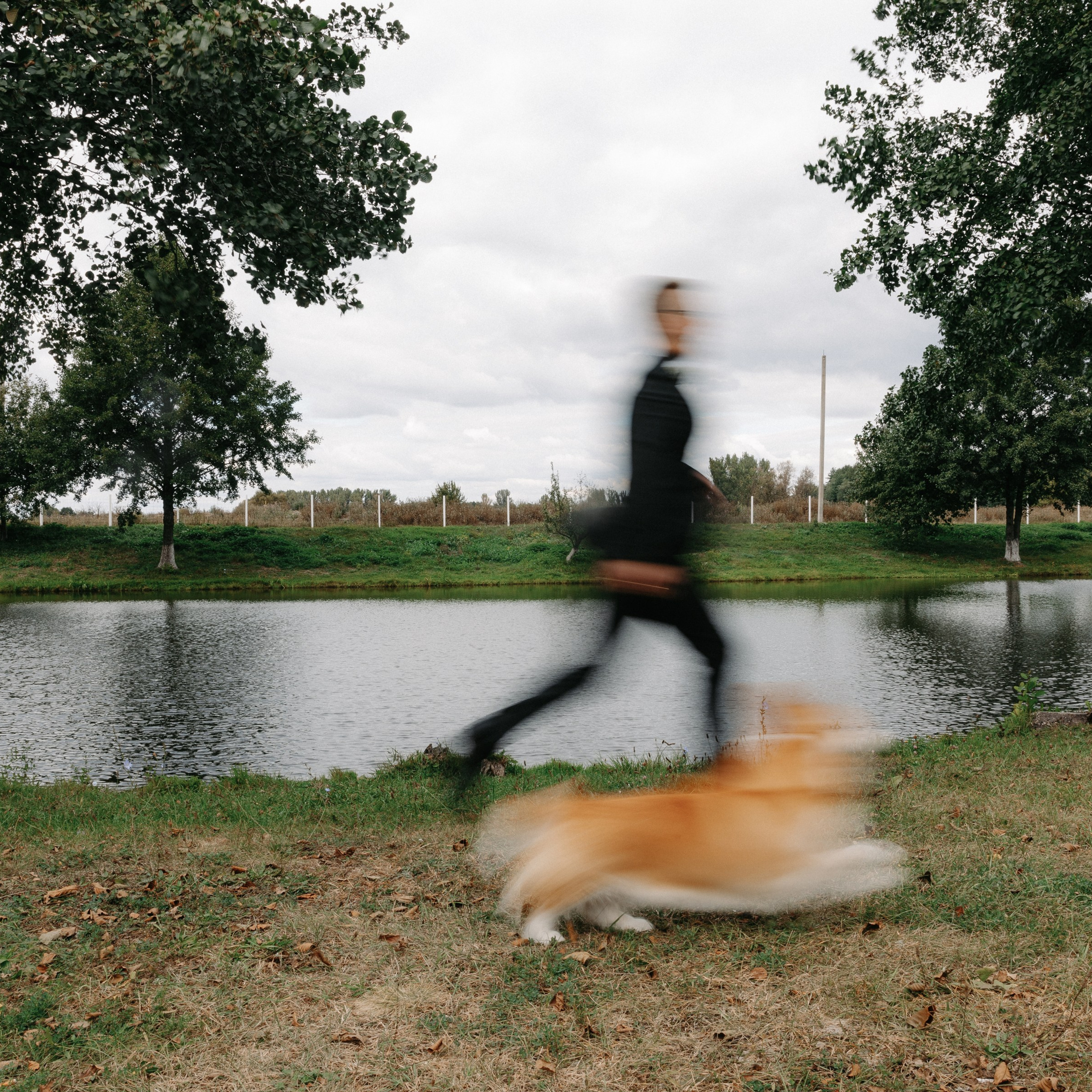 BULKA. EFIMOV IN SPACE — свадебный фотограф