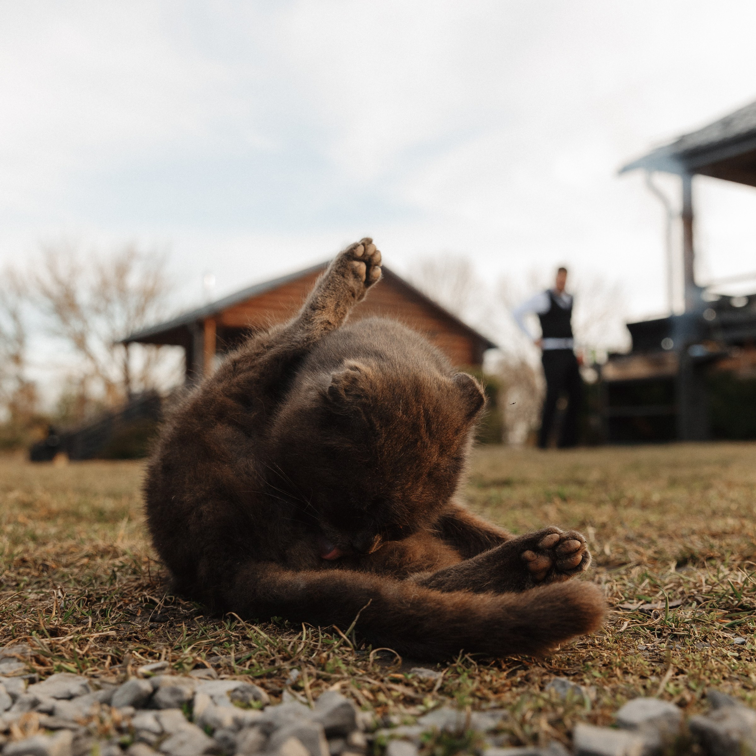 MARK. EFIMOV IN SPACE — свадебный фотограф