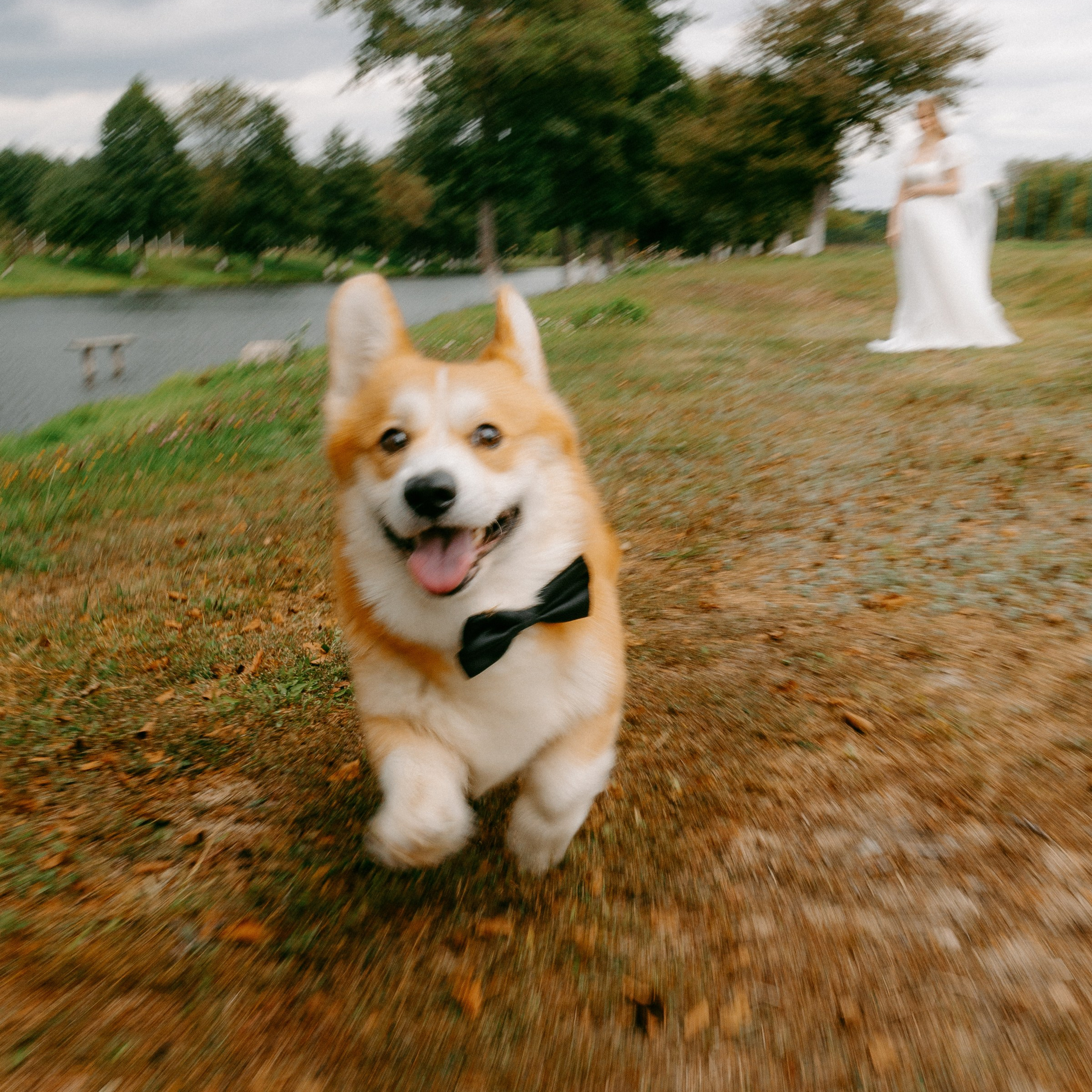 BULKA. EFIMOV IN SPACE — свадебный фотограф